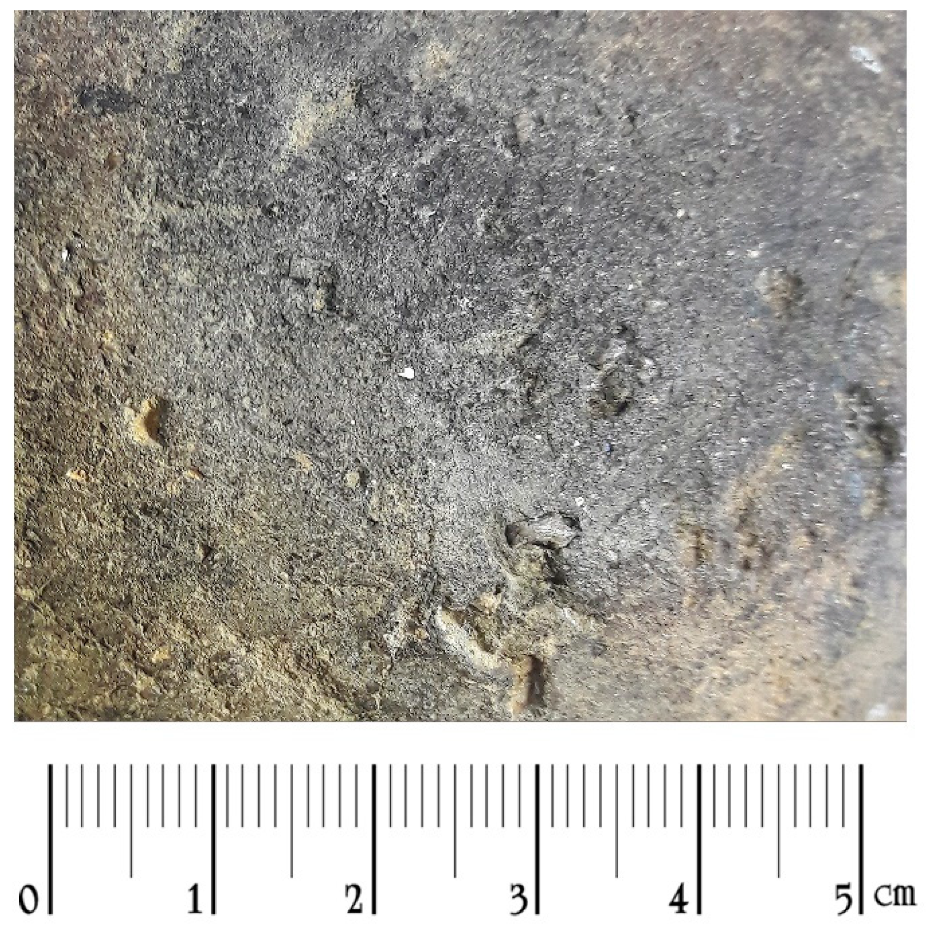 Separations 09 00366 g002