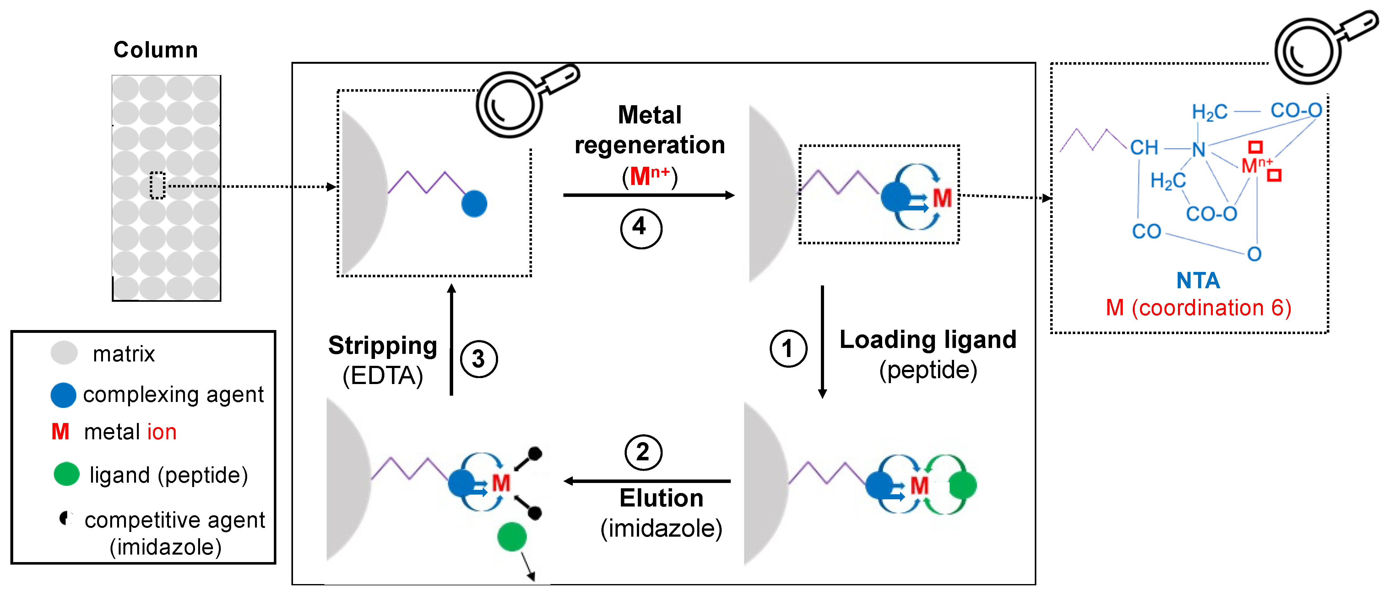 Separations 09 00370 g003