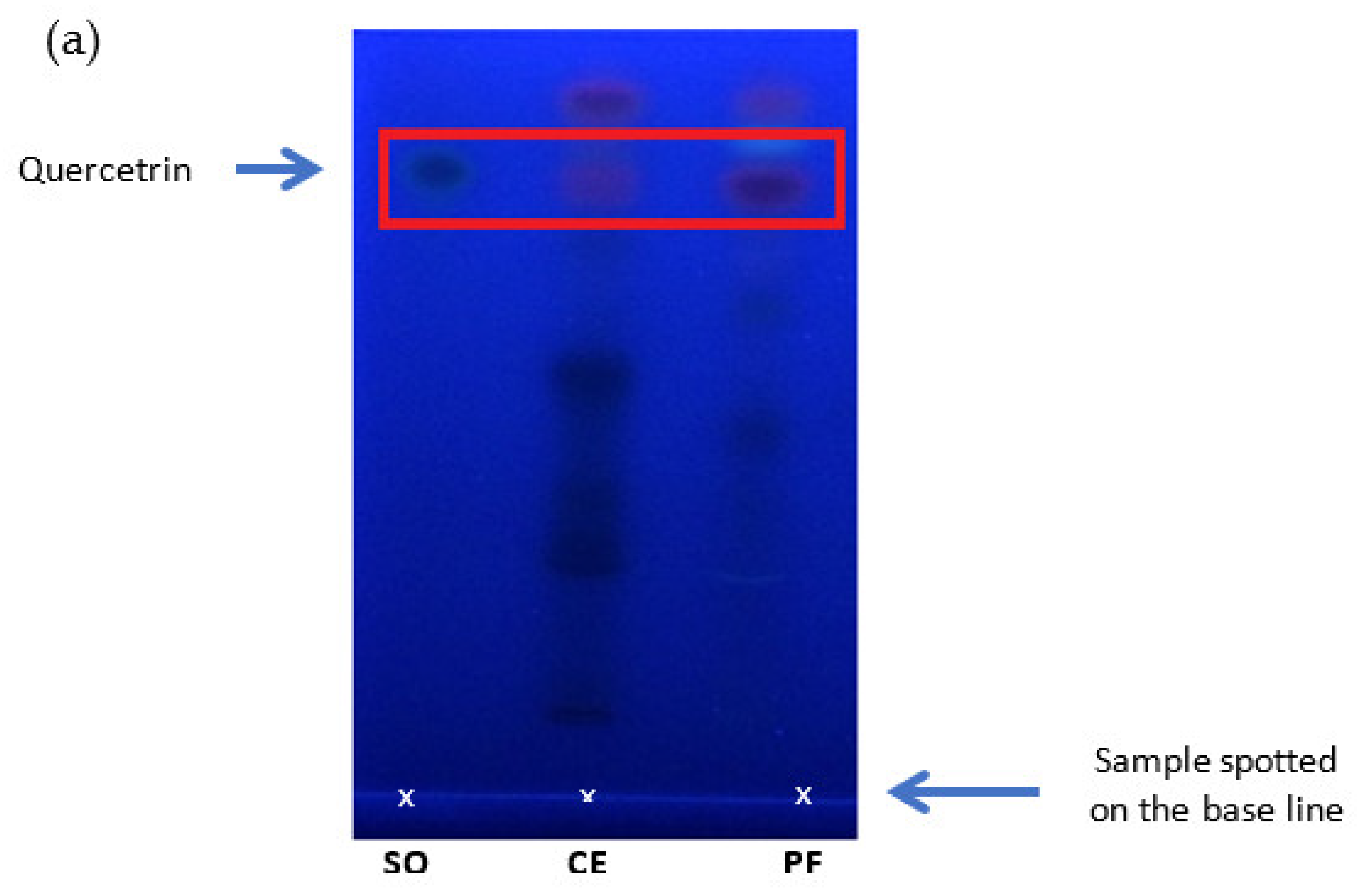 Separations 09 00373 g005a Separations 09 00373 g005a