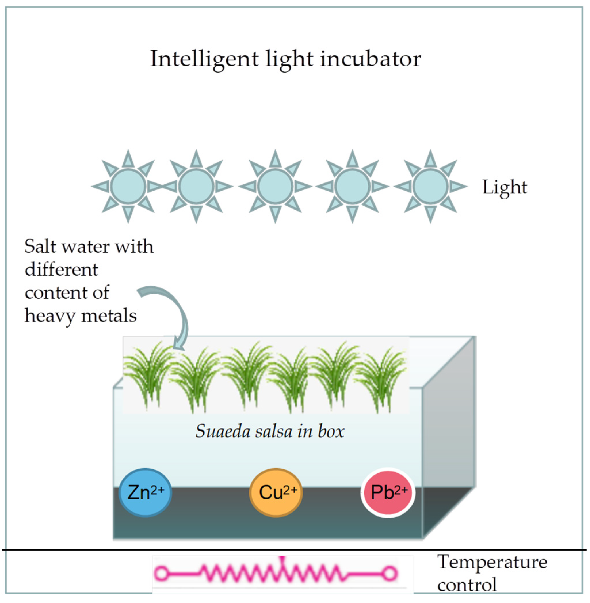 Separations 09 00374 g002