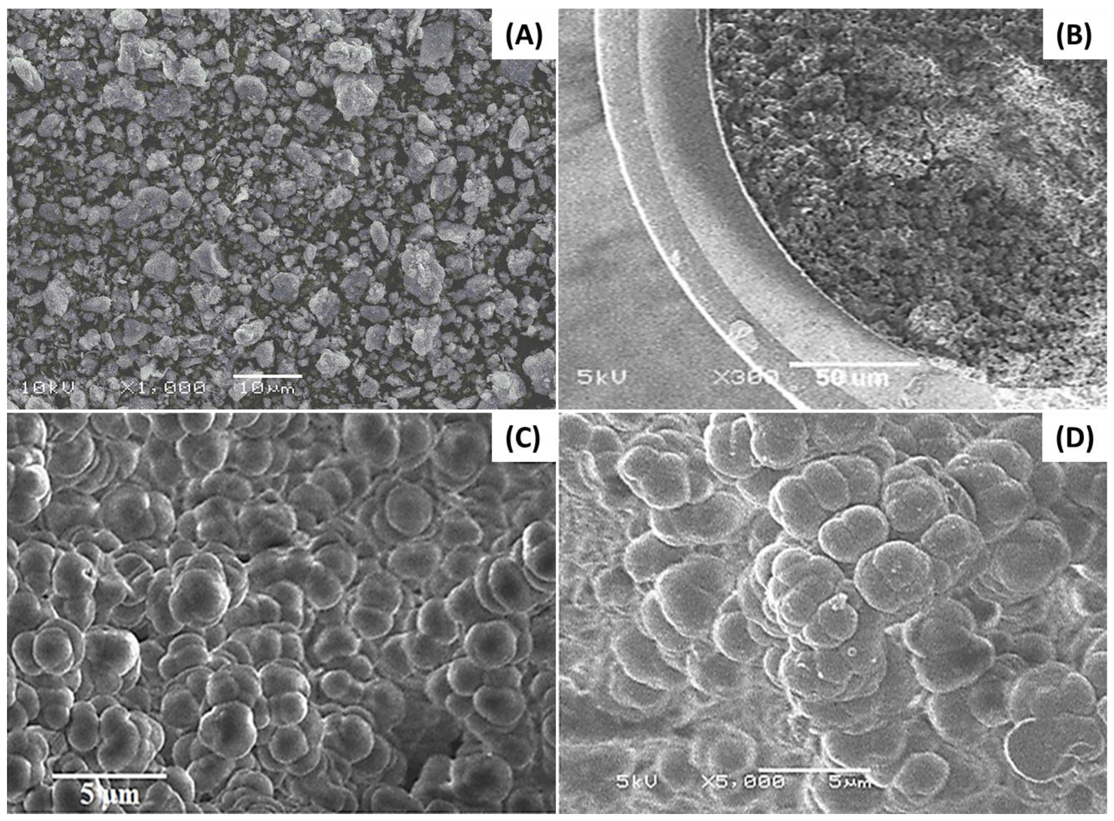 Separations 09 00389 g002