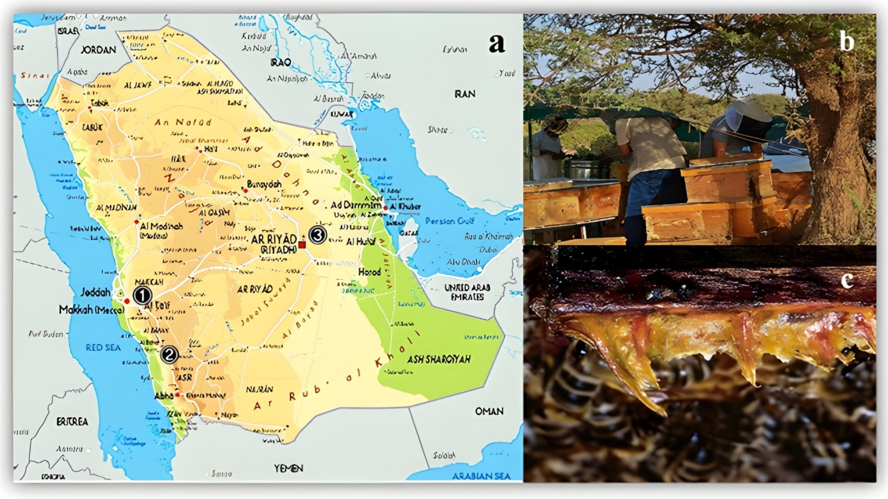 Separations 09 00392 g001