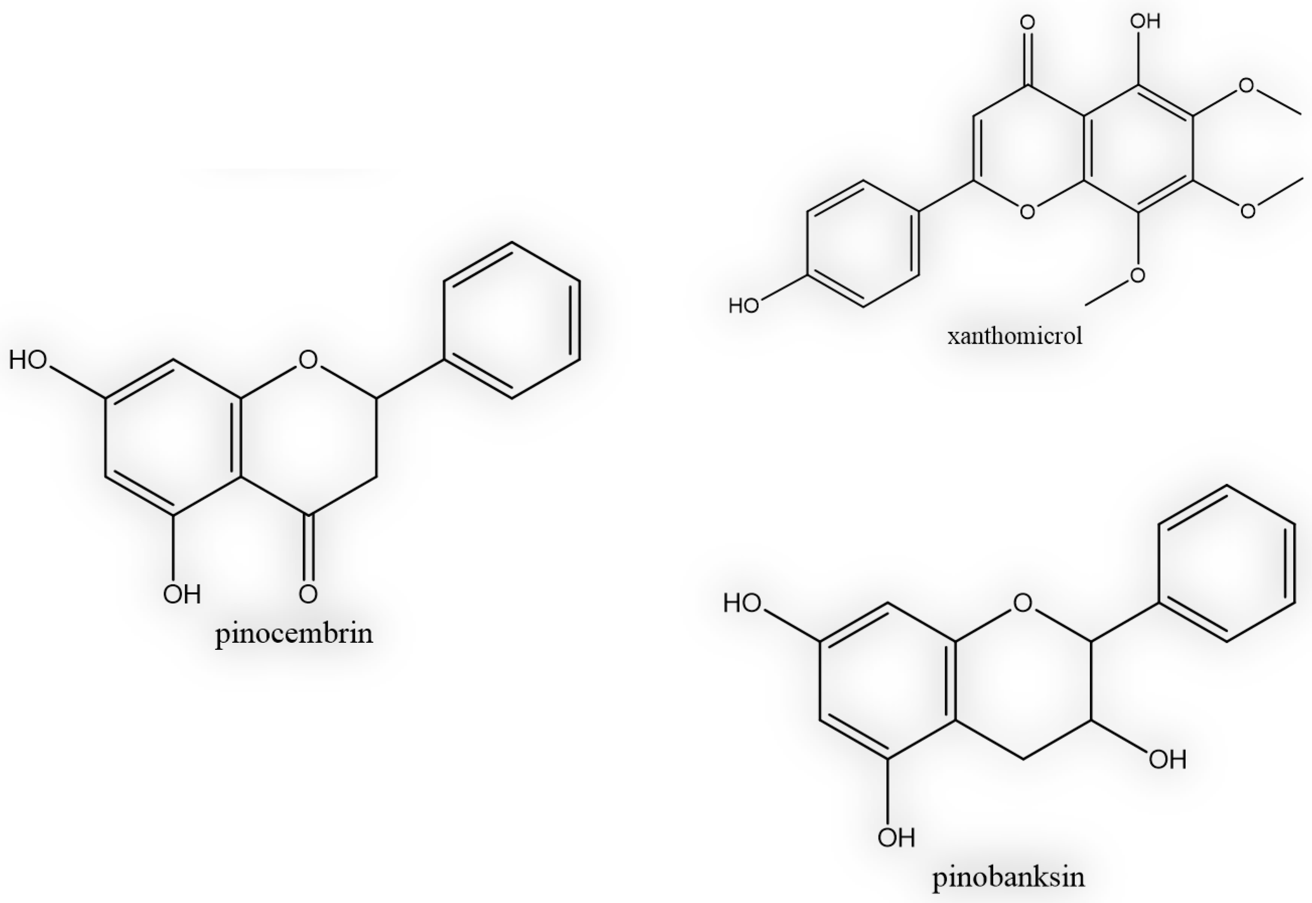 Separations 09 00392 g005