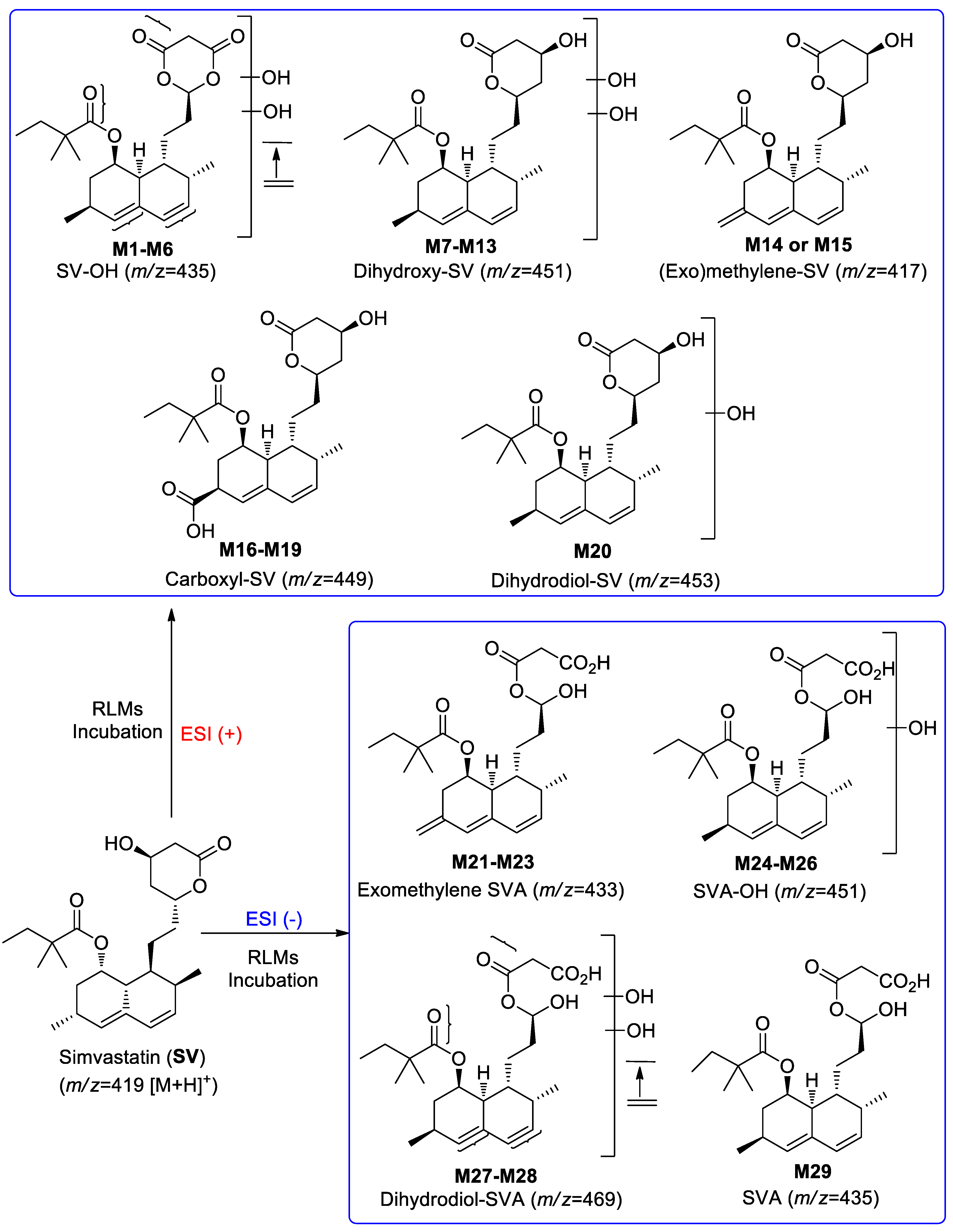 Separations 09 00400 sch002