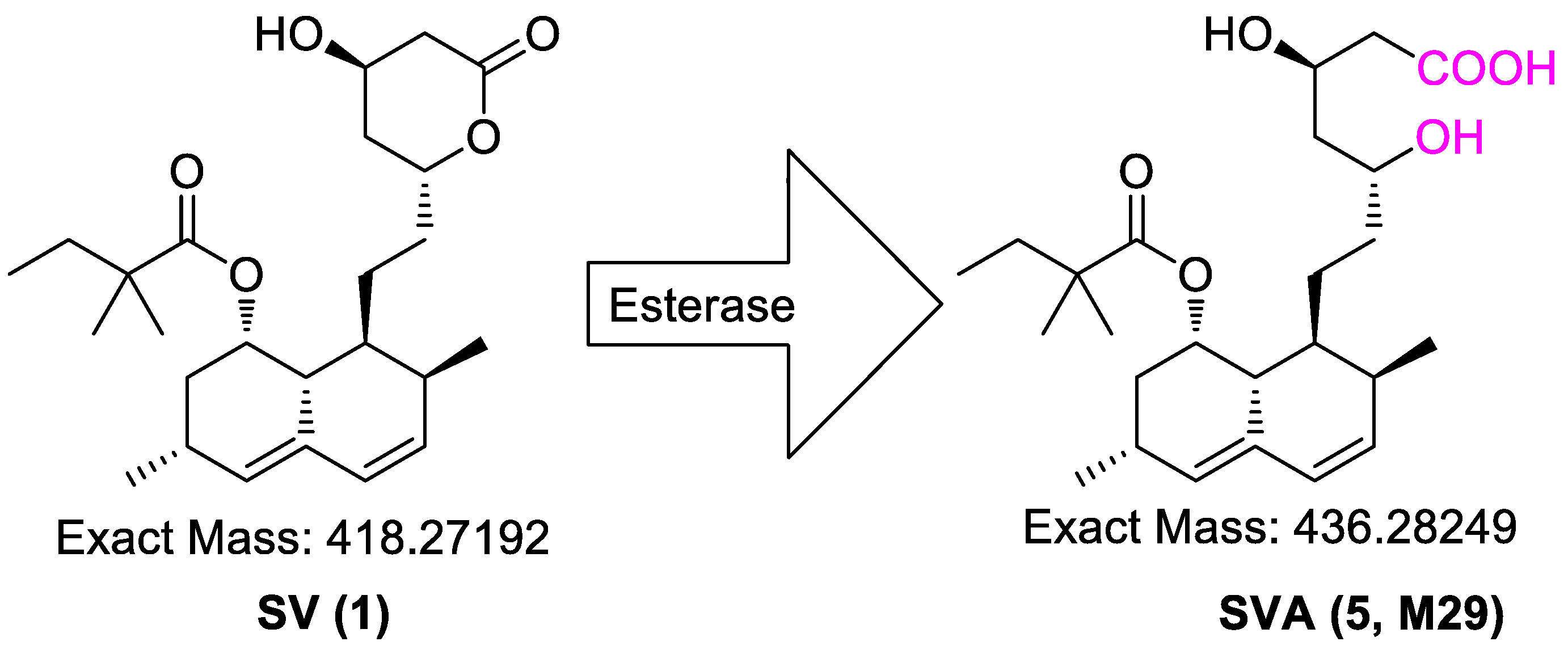 Separations 09 00400 sch003