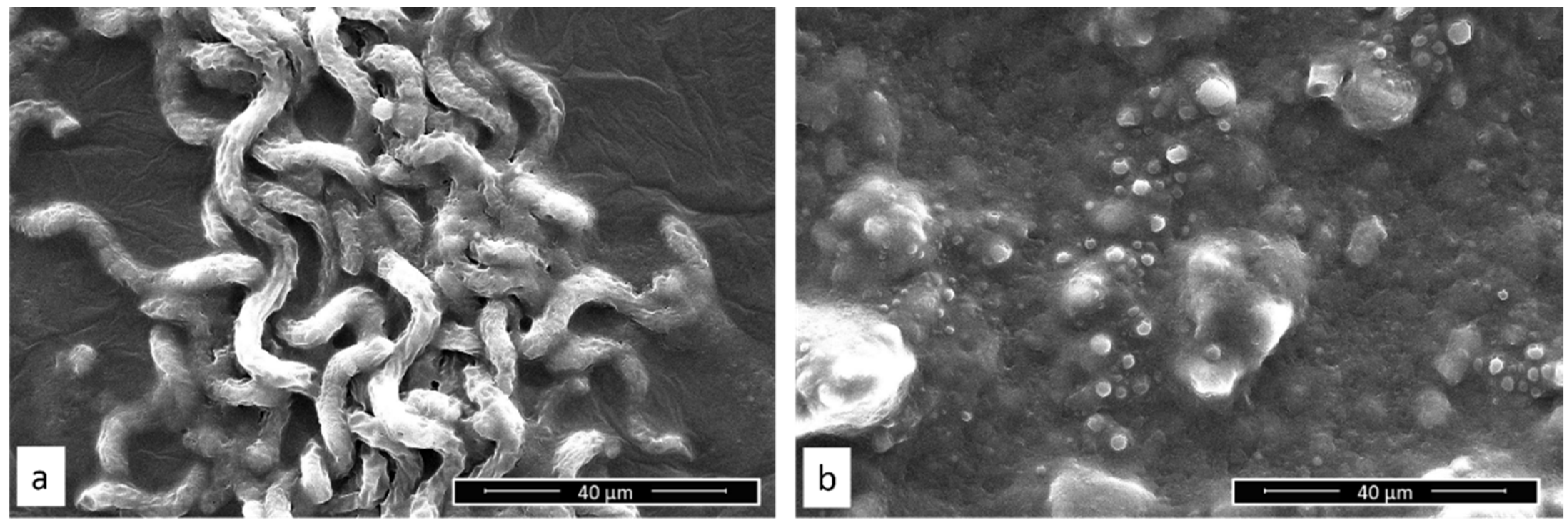 Separations 09 00410 g001