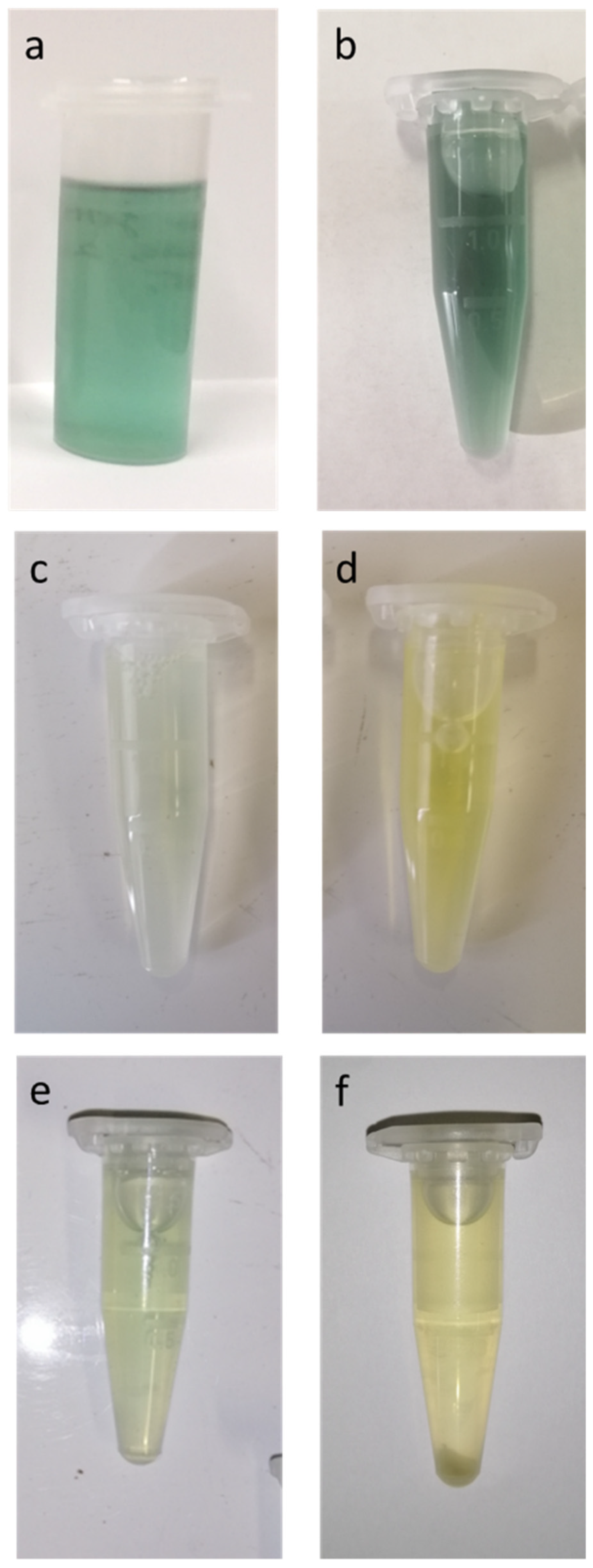 Separations 09 00410 g008