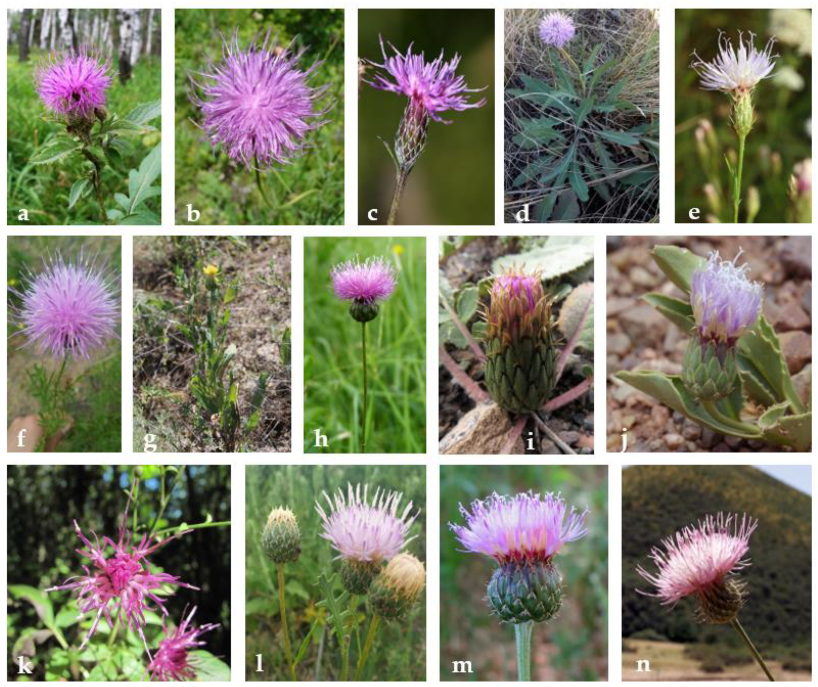 Separations 09 00448 g001