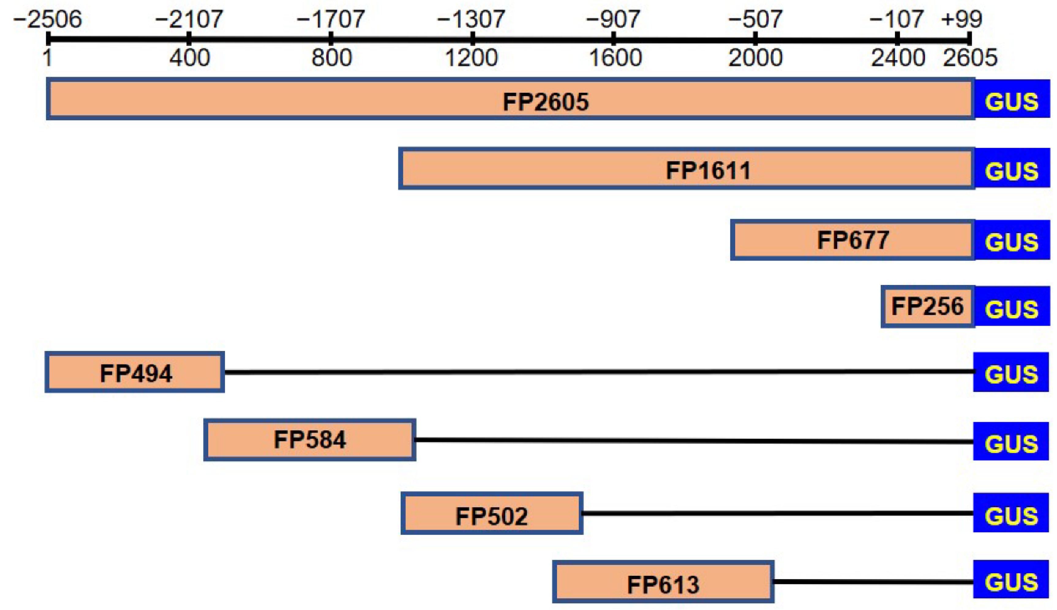 Separations 10 00002 g003 Separations 10 00002 g003