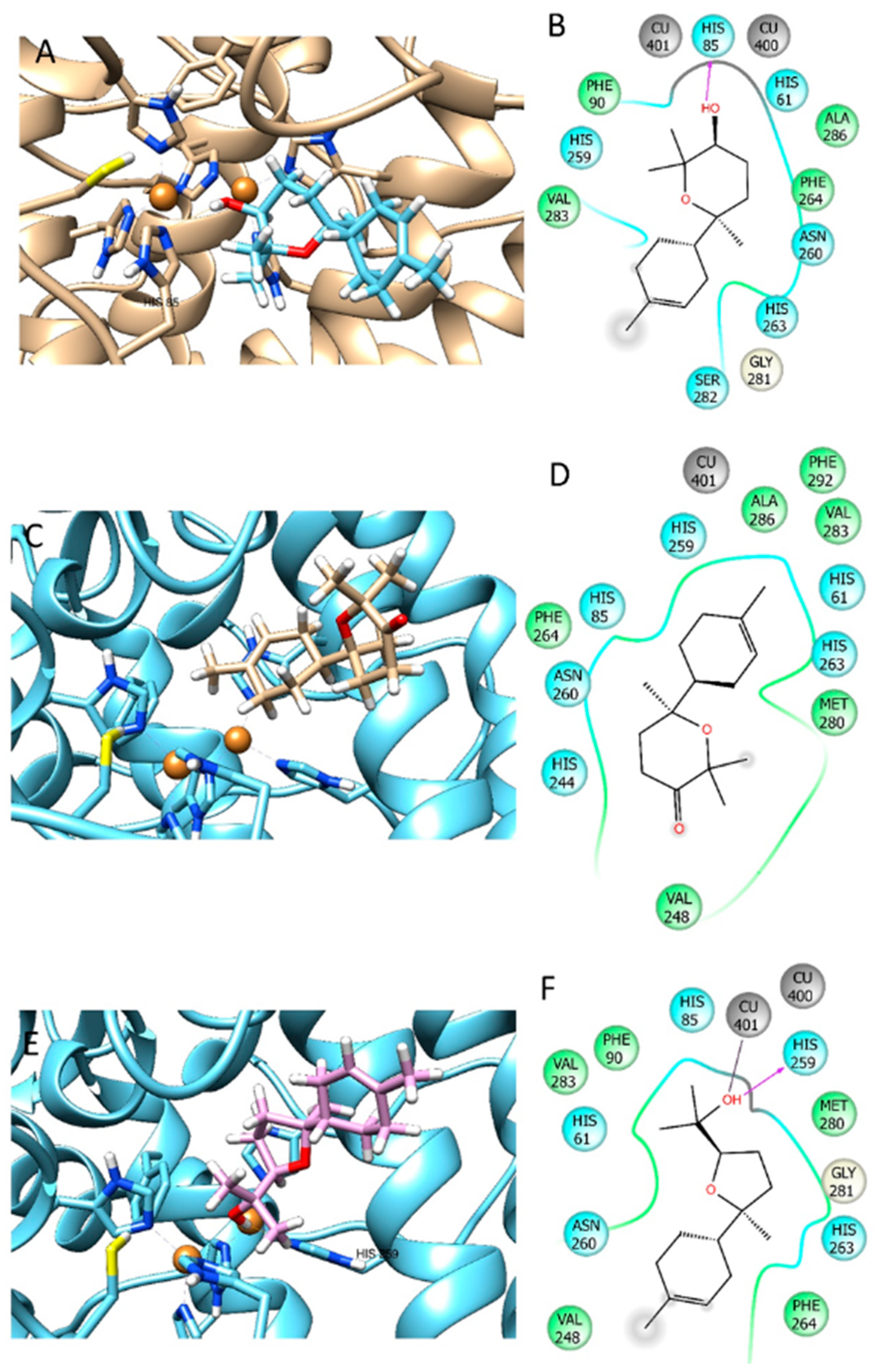 Separations 10 00018 g002