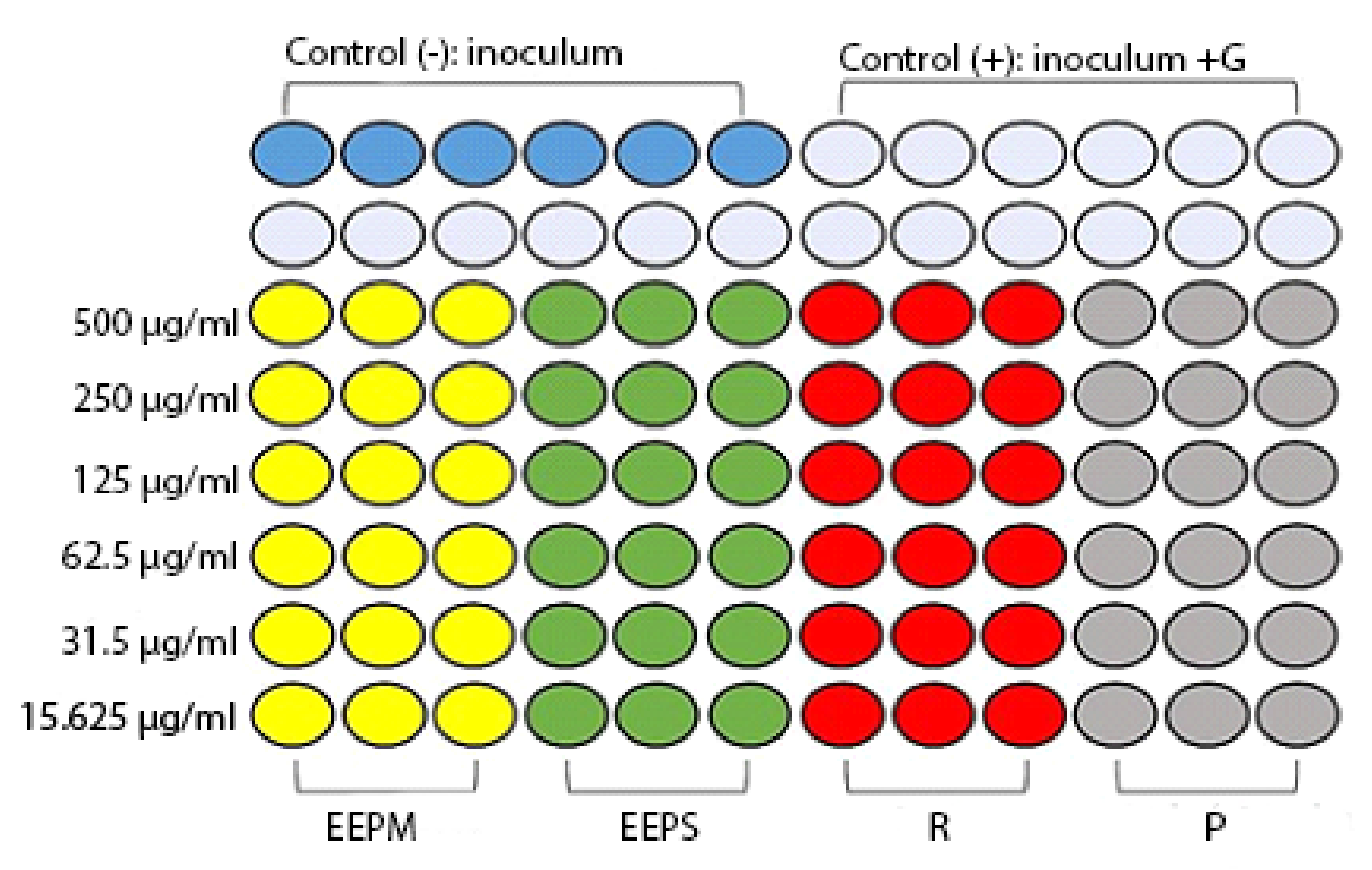 Separations 10 00021 g012