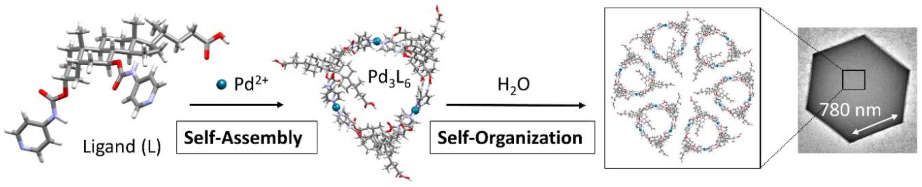 Separations 10 00030 g008