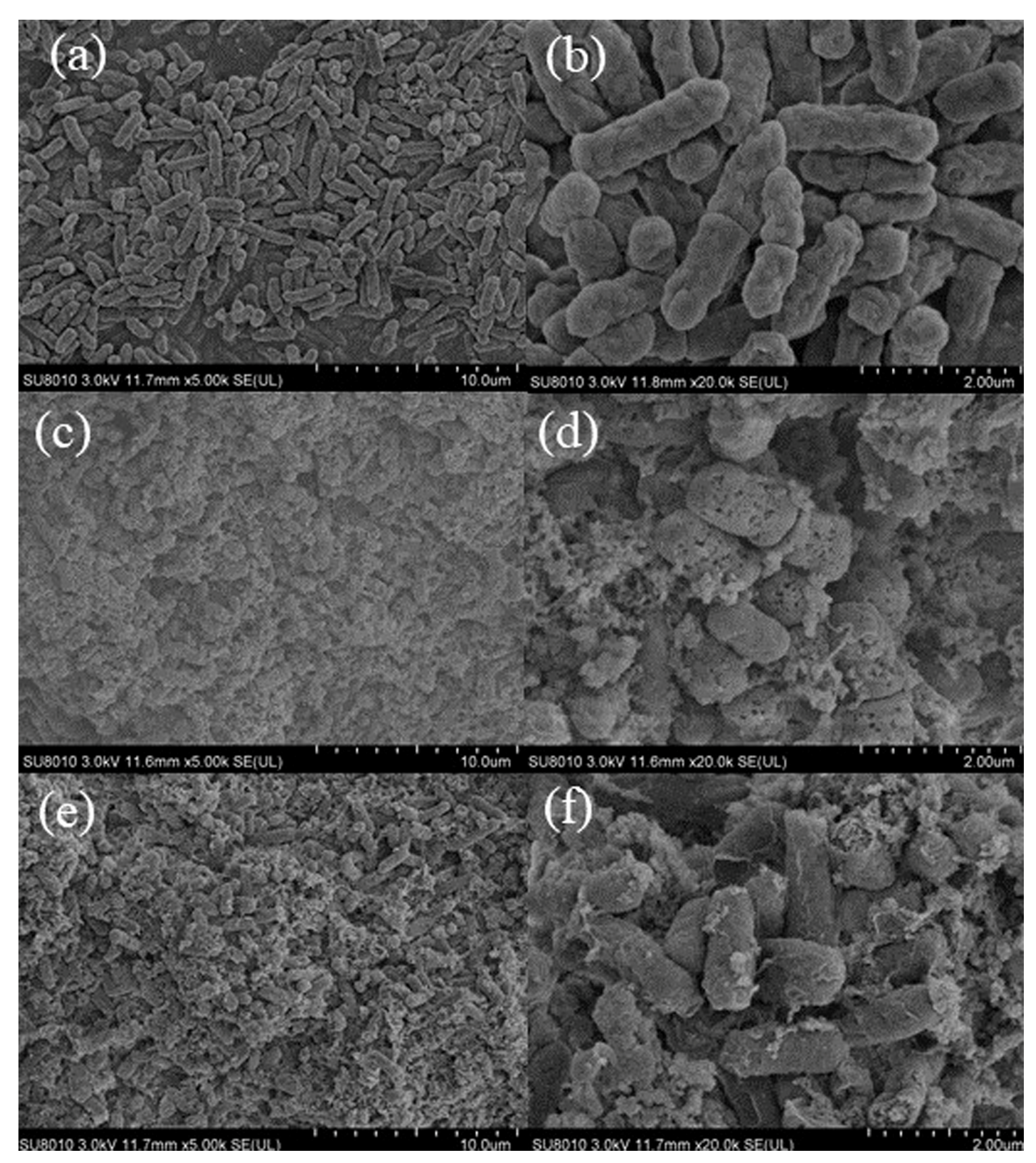 Separations 10 00035 g009