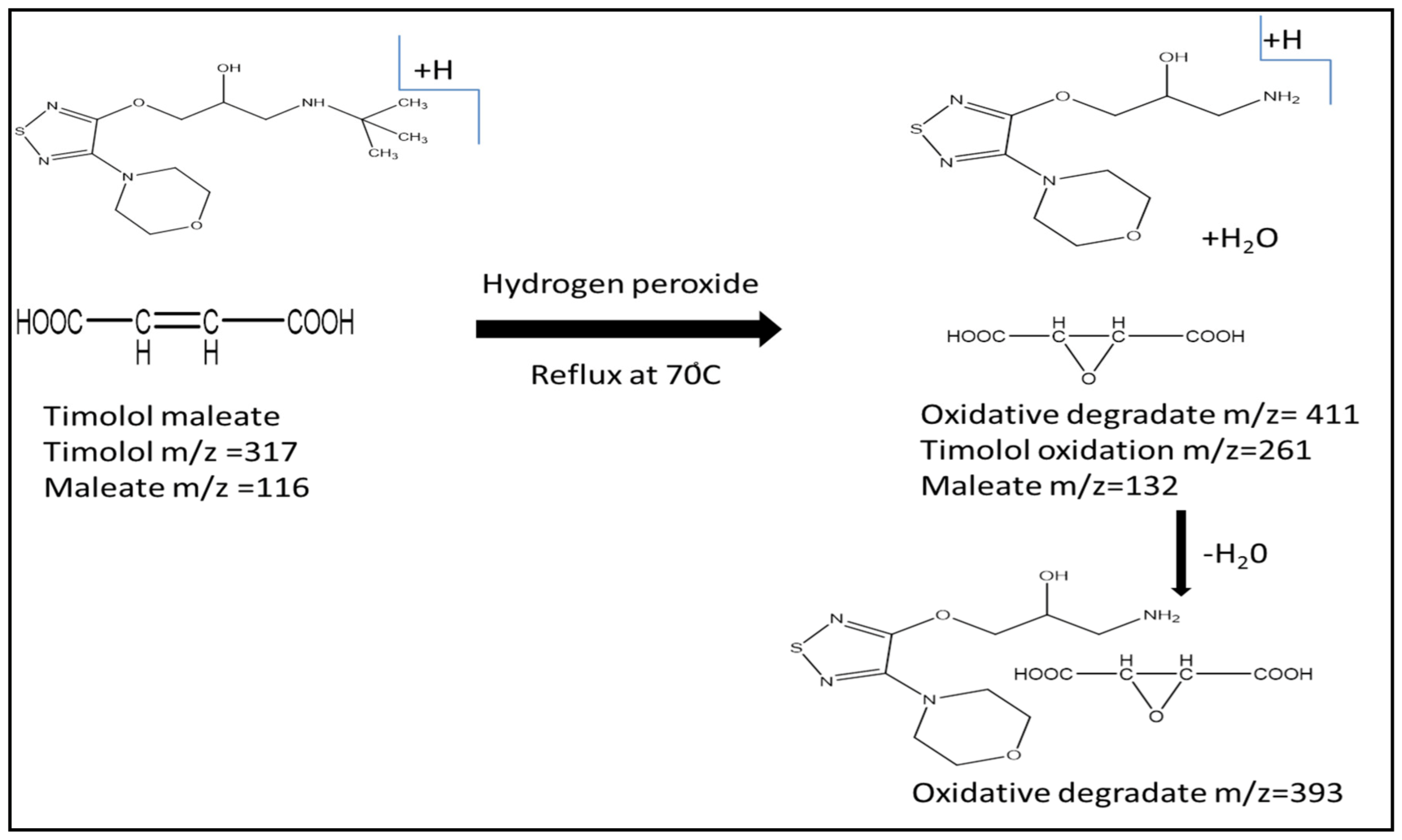 Separations 10 00037 sch001