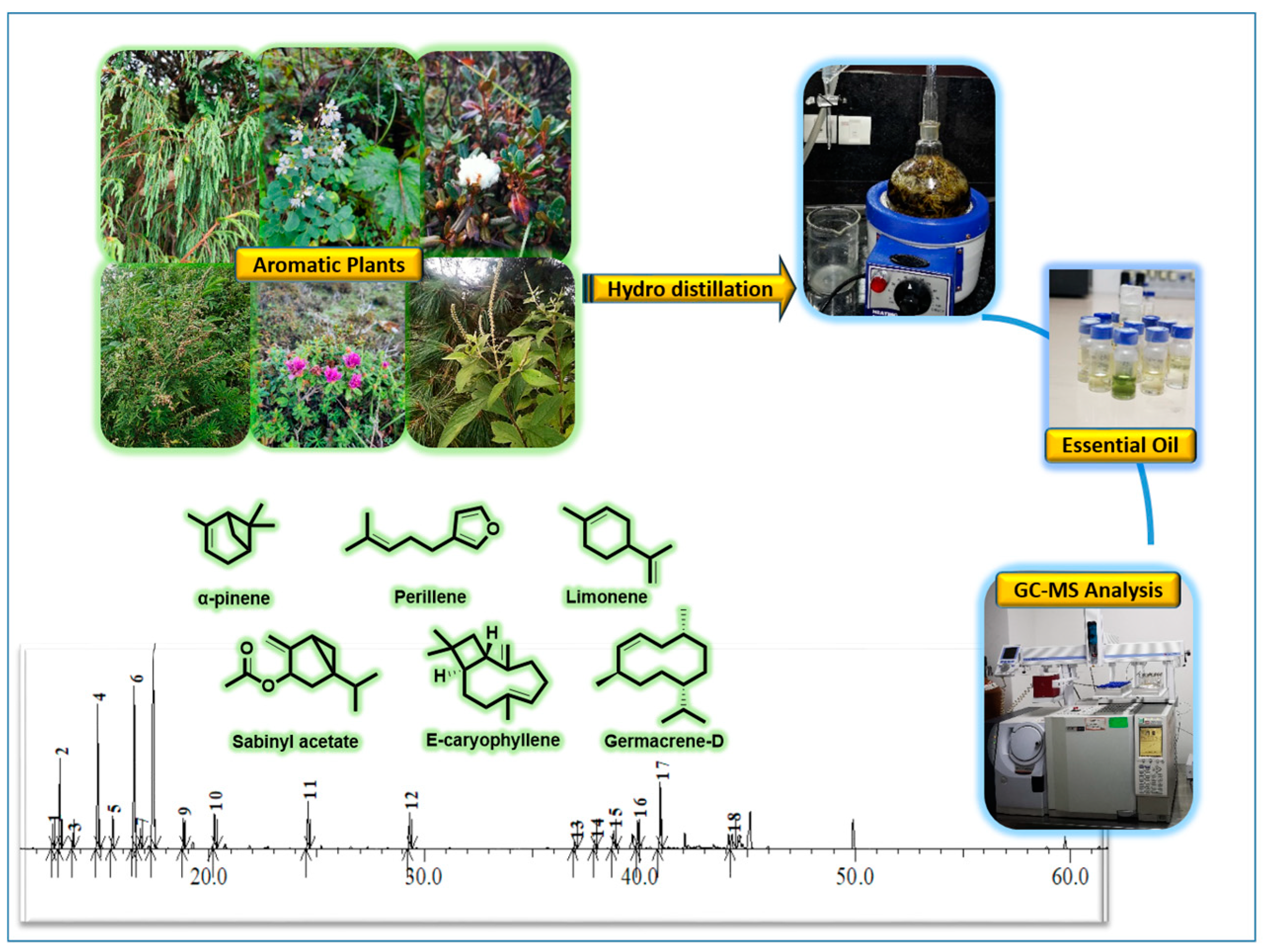 Separations 10 00052 g001