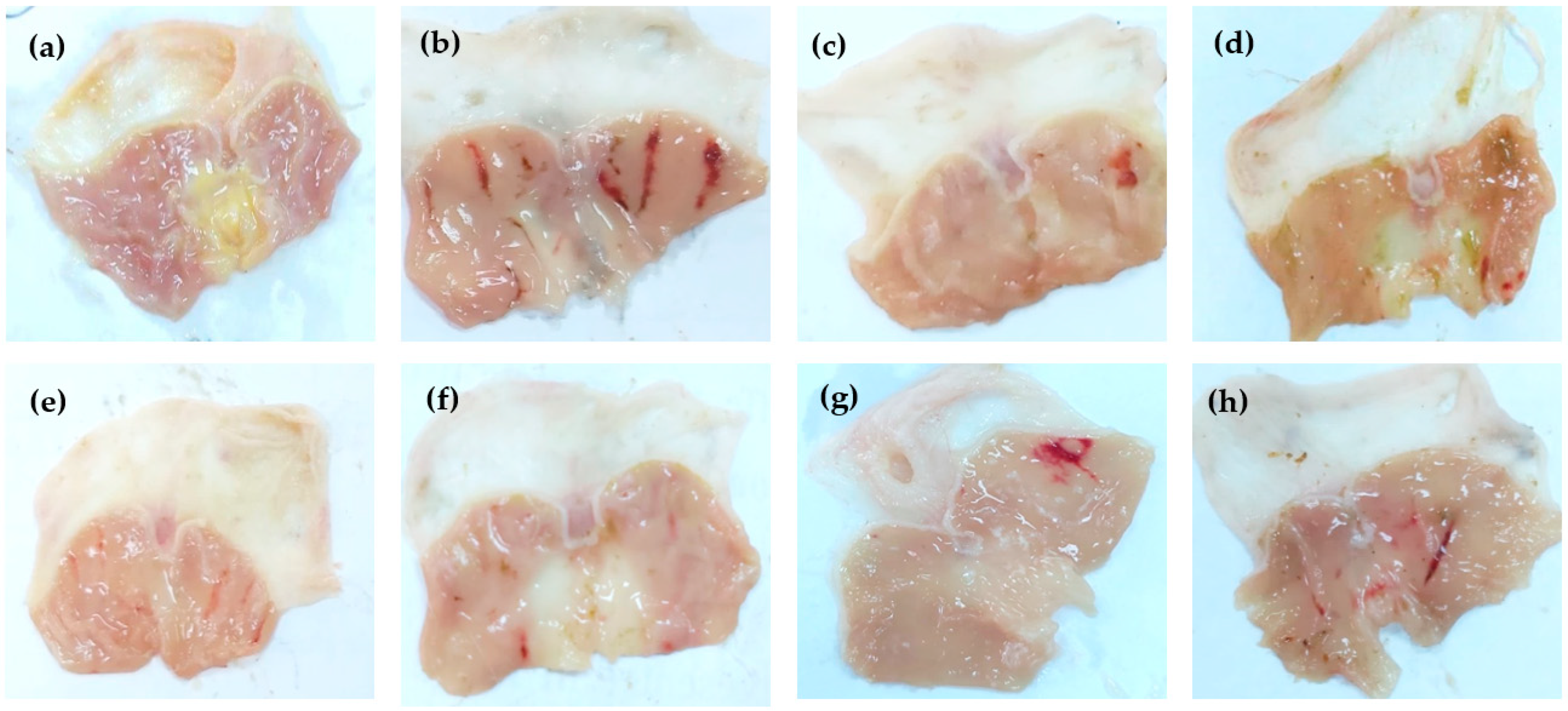 Separations 10 00076 g002 Separations 10 00076 g002