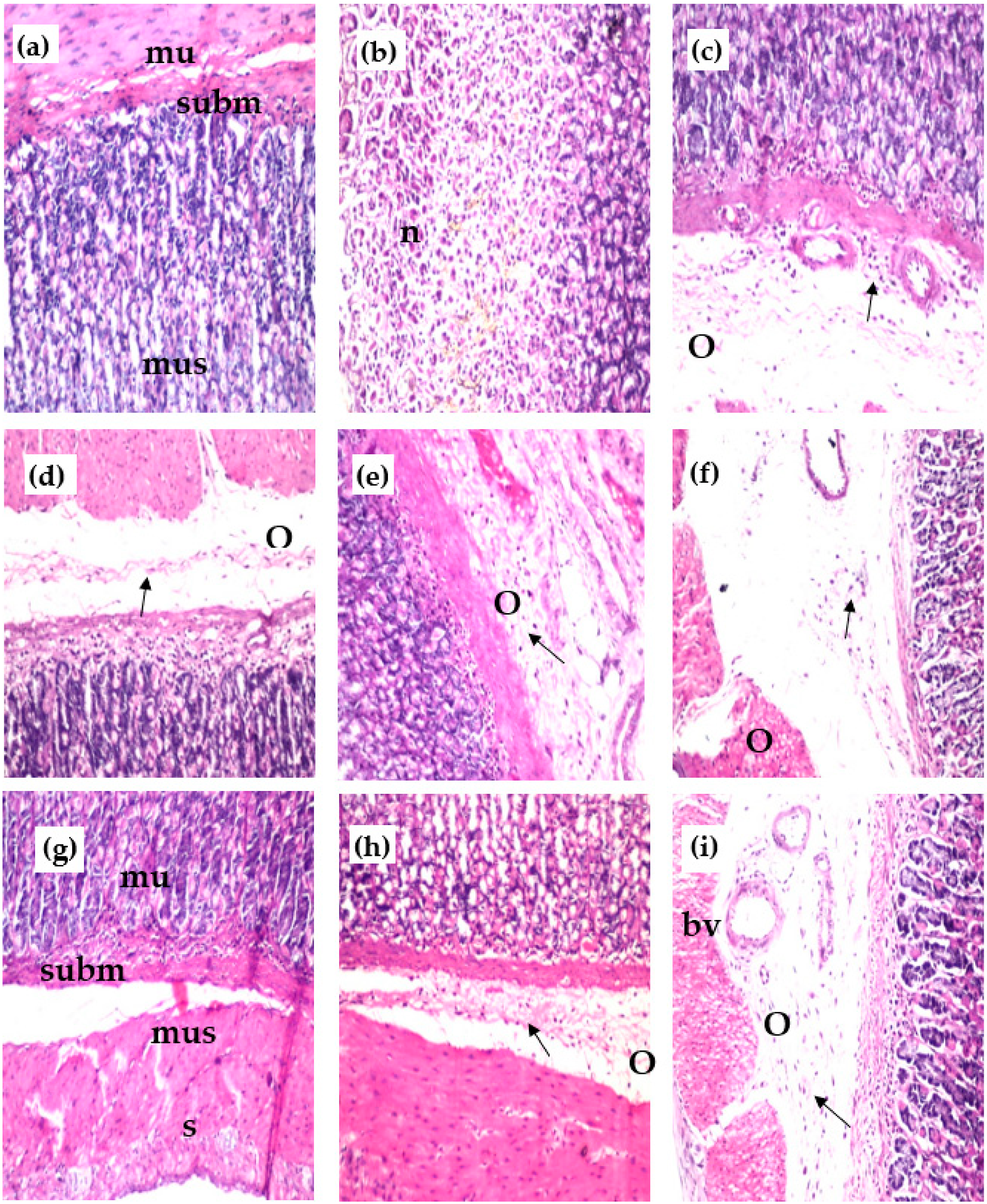 Separations 10 00076 g003 Separations 10 00076 g003