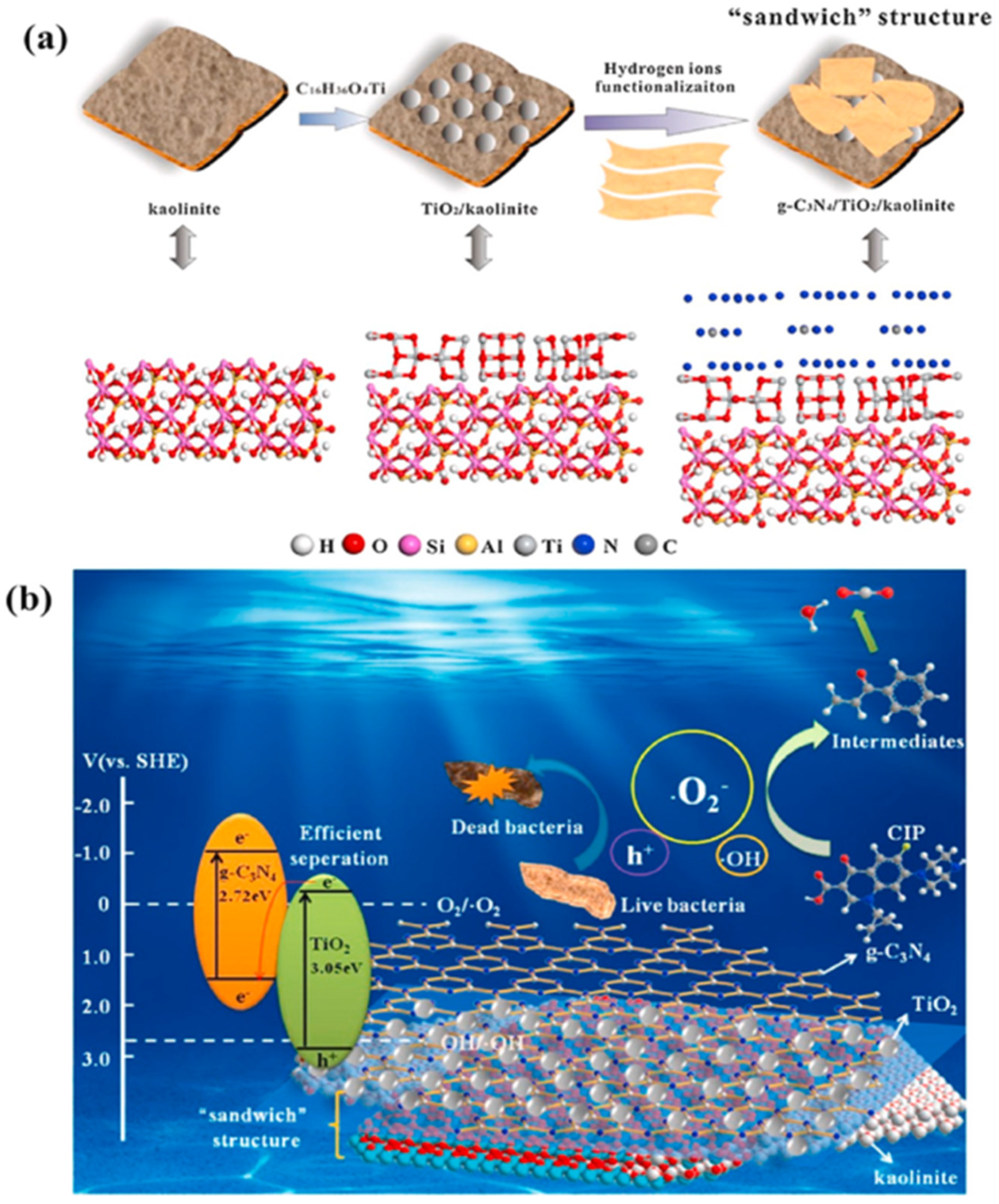 Separations 10 00077 g004
