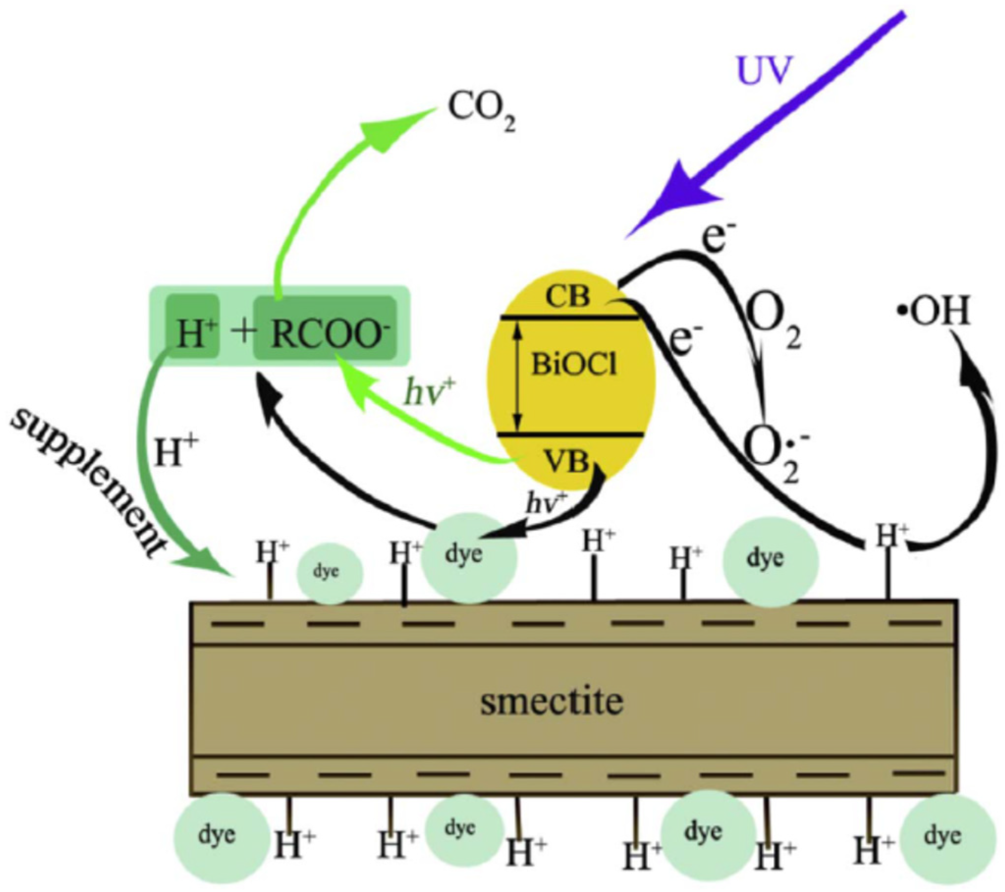 Separations 10 00077 g013