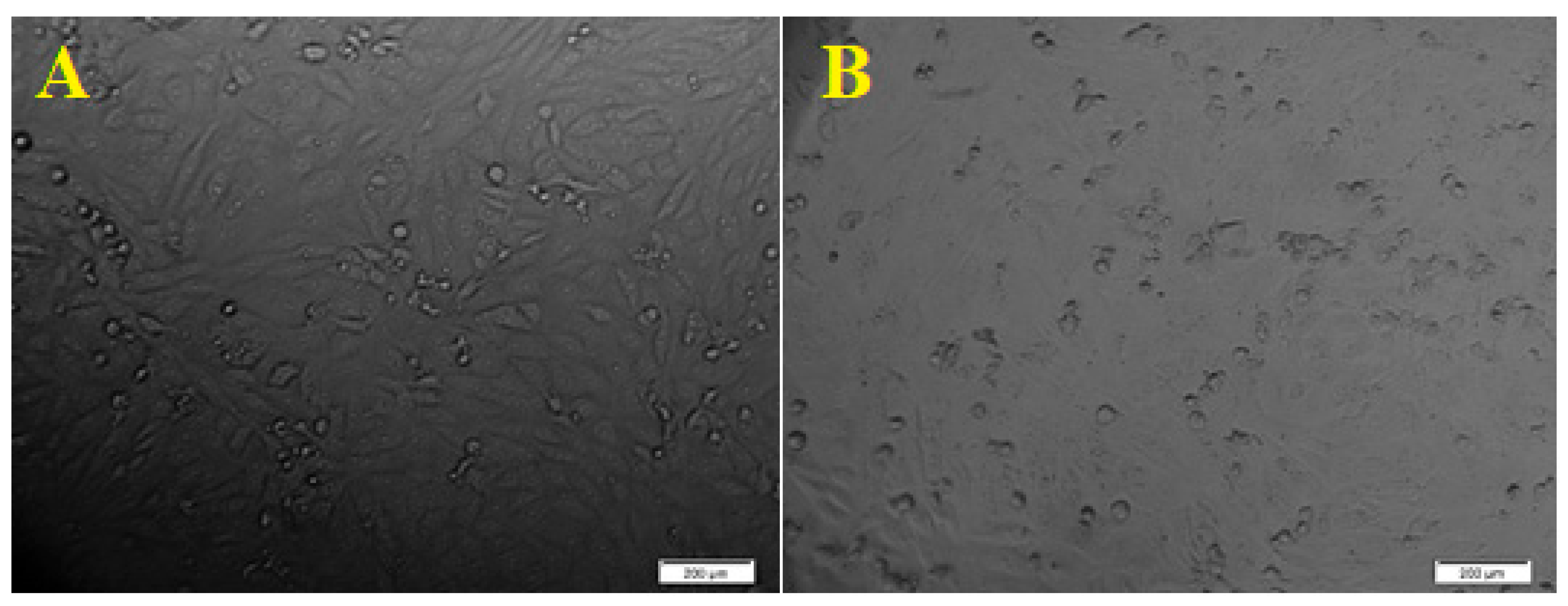 Separations 10 00078 g007