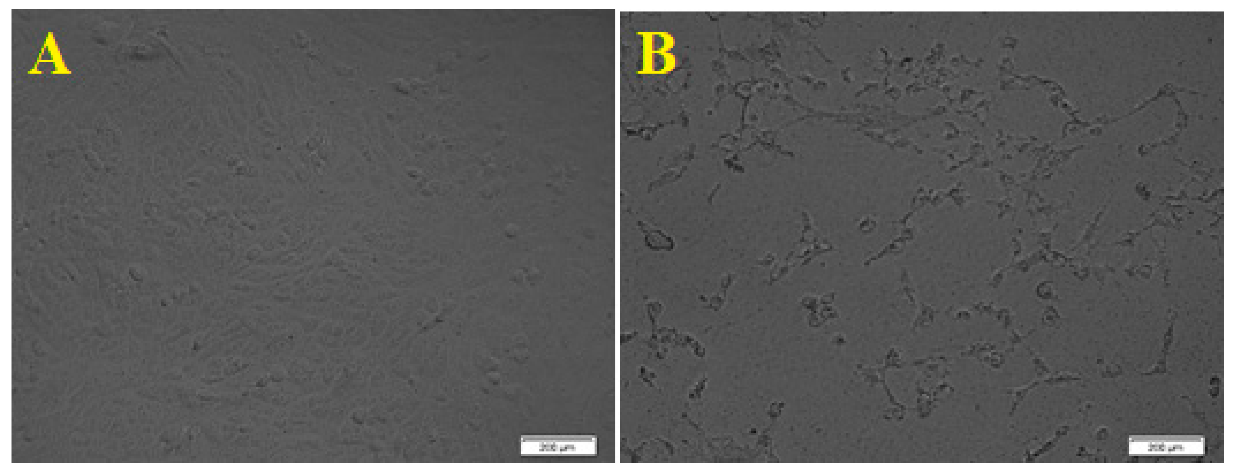 Separations 10 00078 g009