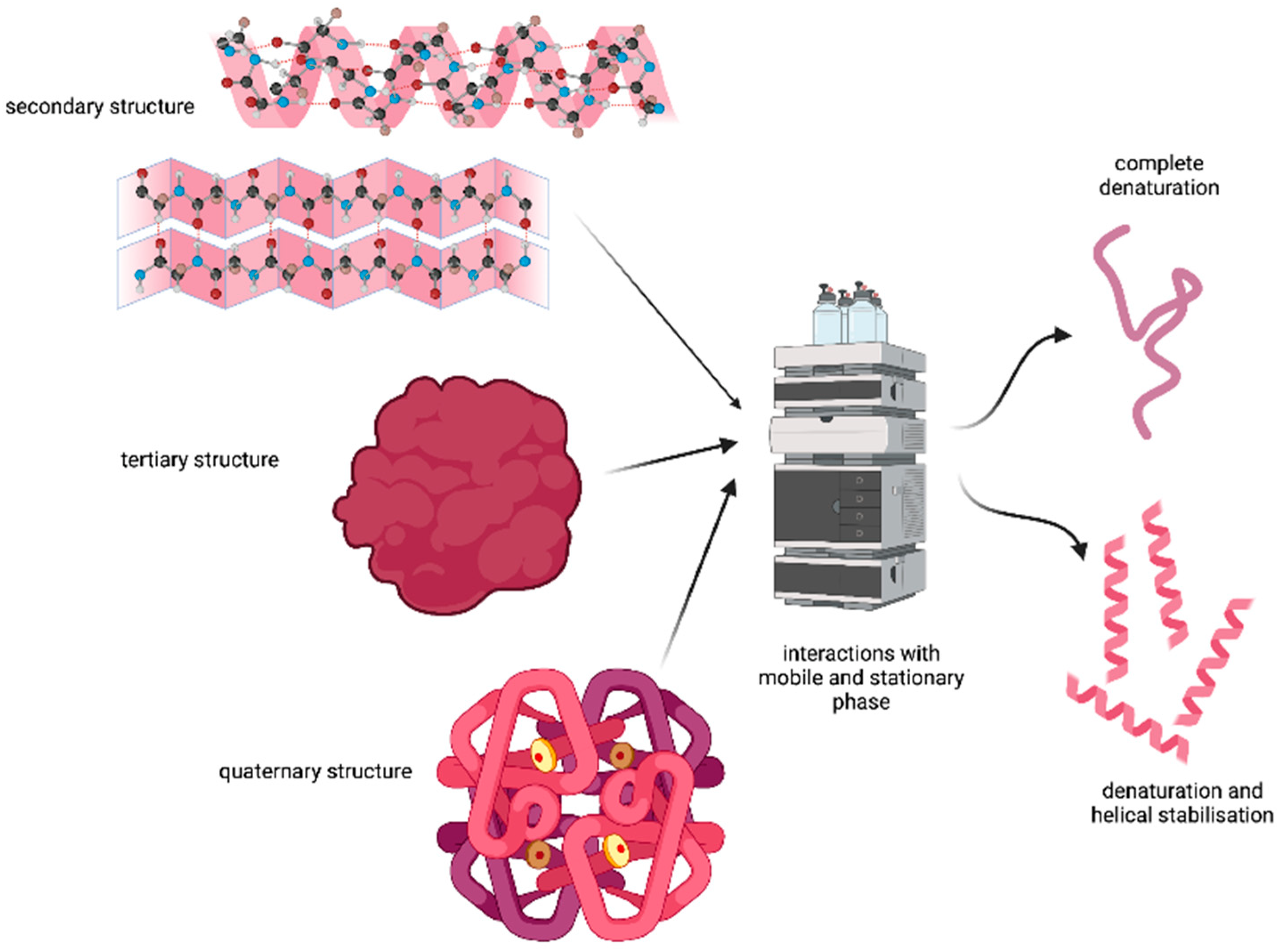 Separations 10 00081 g003