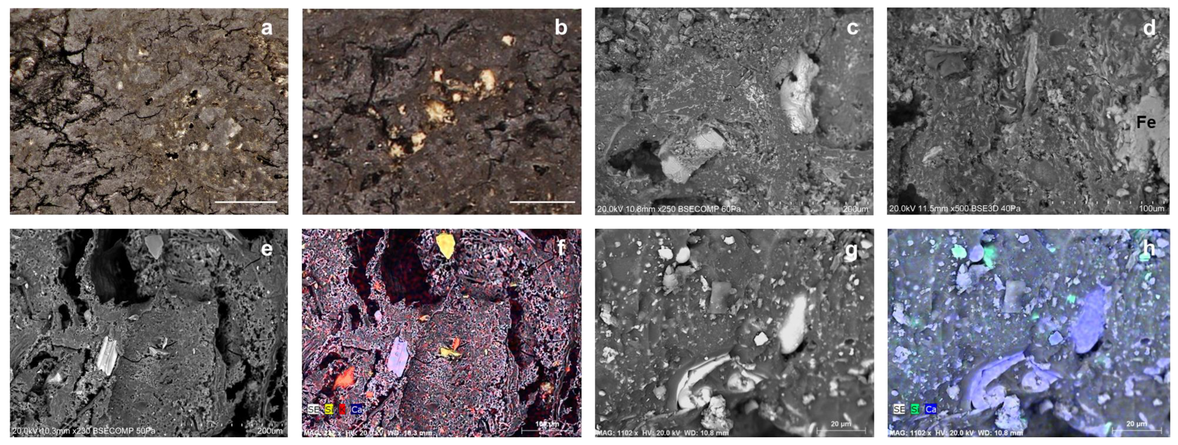 Separations 10 00085 g004 Separations 10 00085 g004