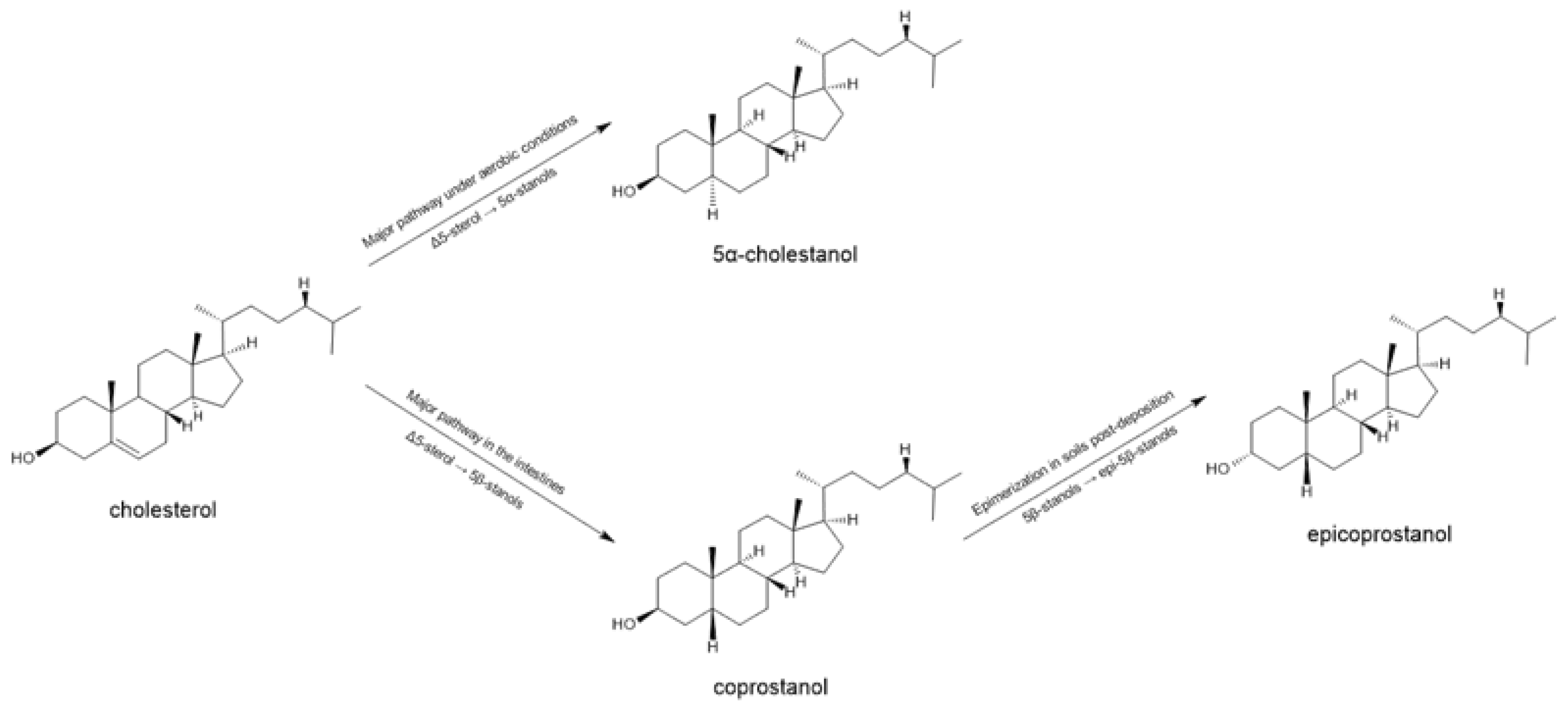 Separations 10 00085 g007 Separations 10 00085 g007
