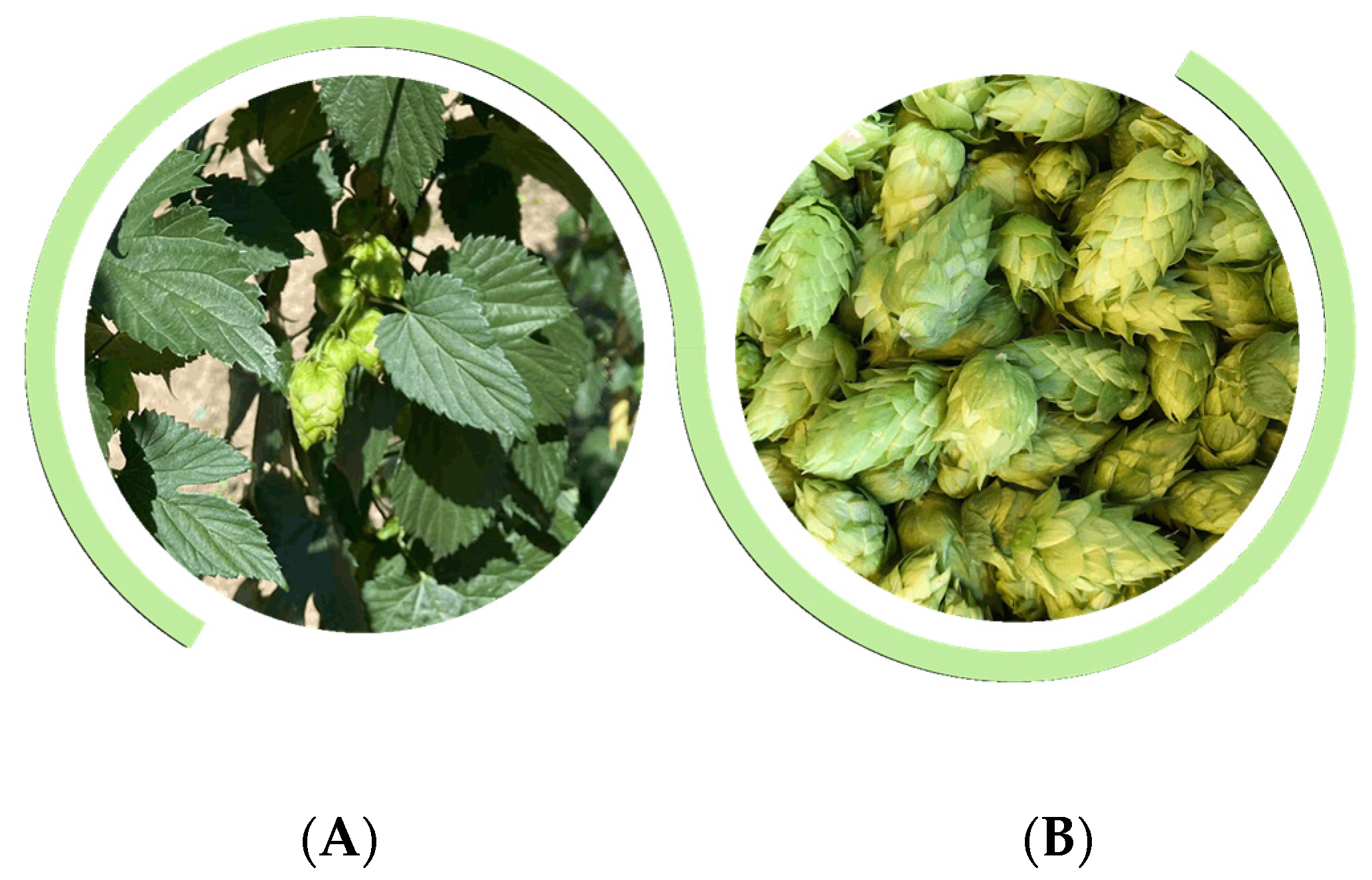 Separations 10 00091 g001