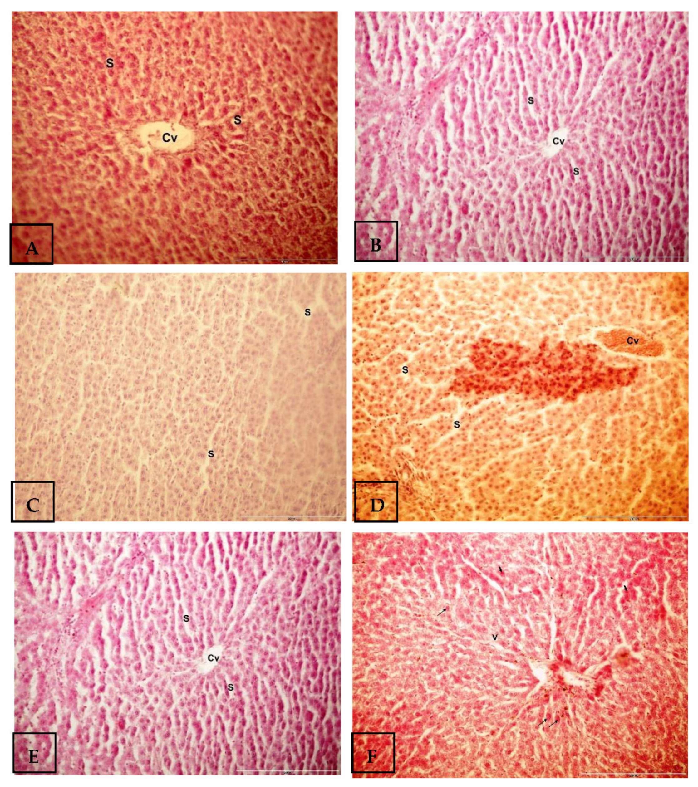 Separations 10 00094 g004