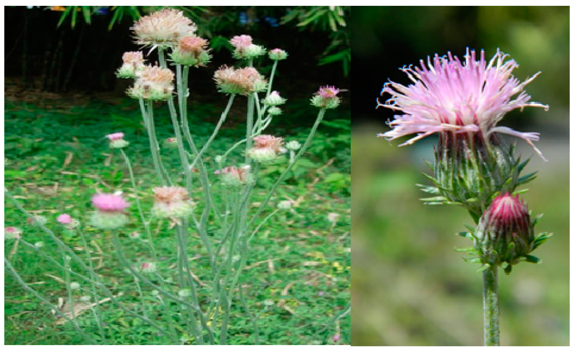 Separations 10 00107 g001