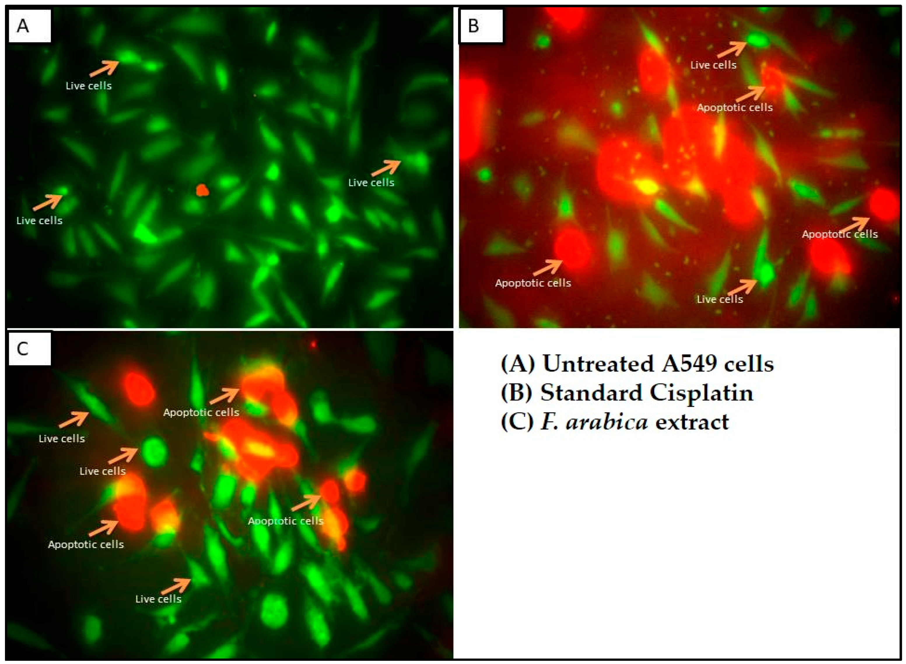 Separations 10 00110 g002