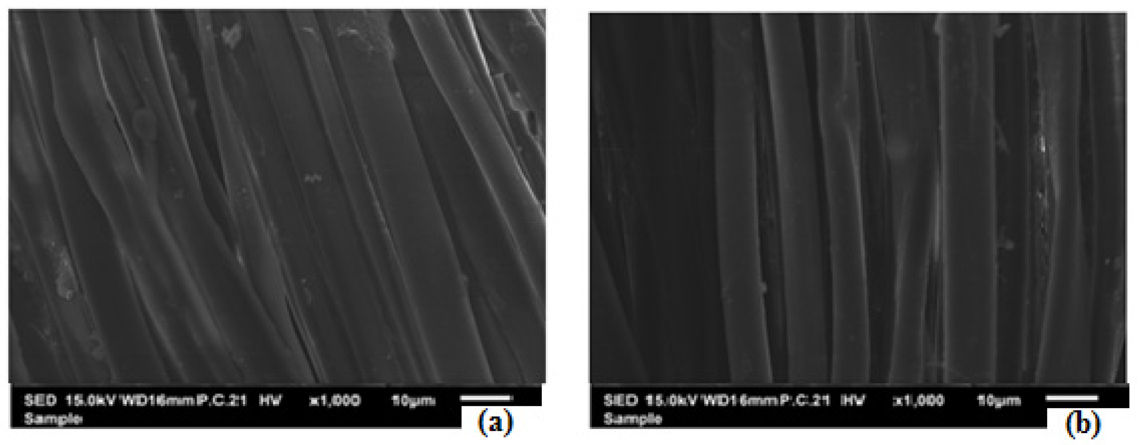 Separations 10 00118 g004