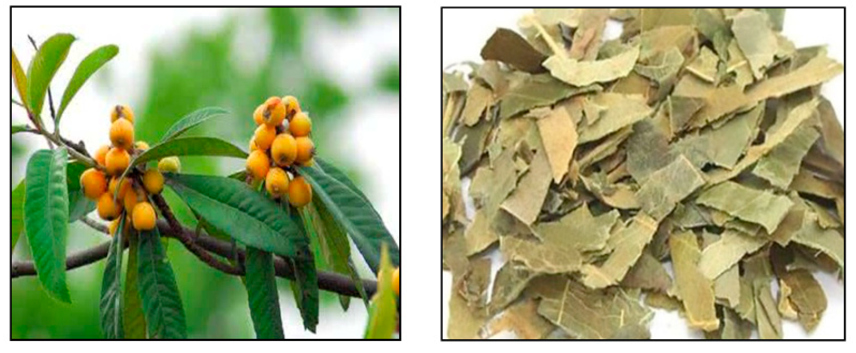 Separations 10 00126 g001