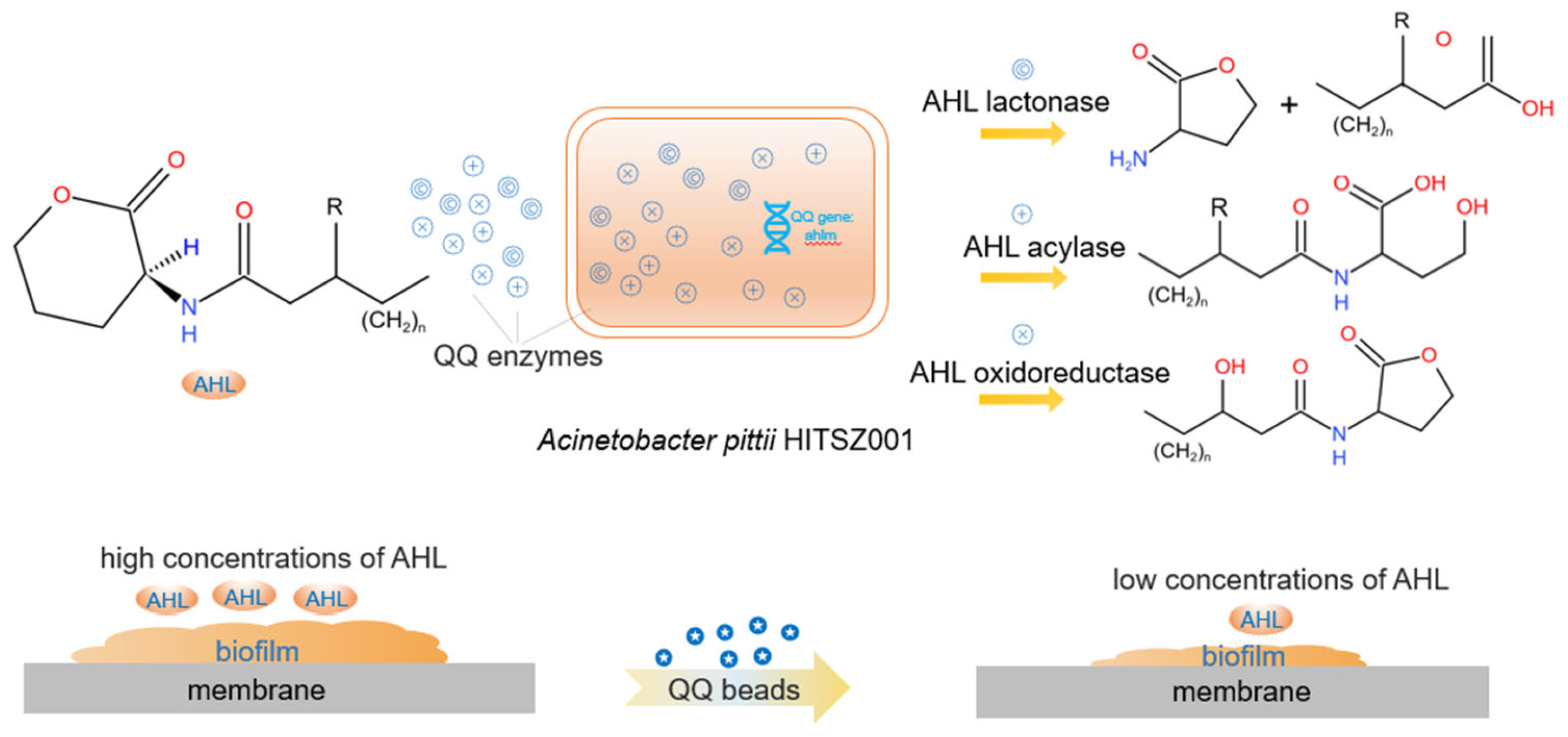 Separations 10 00127 g001