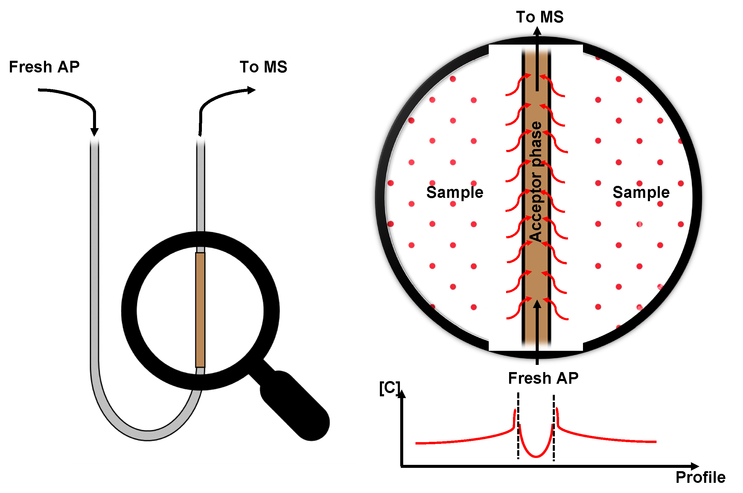 Separations 10 00139 g002