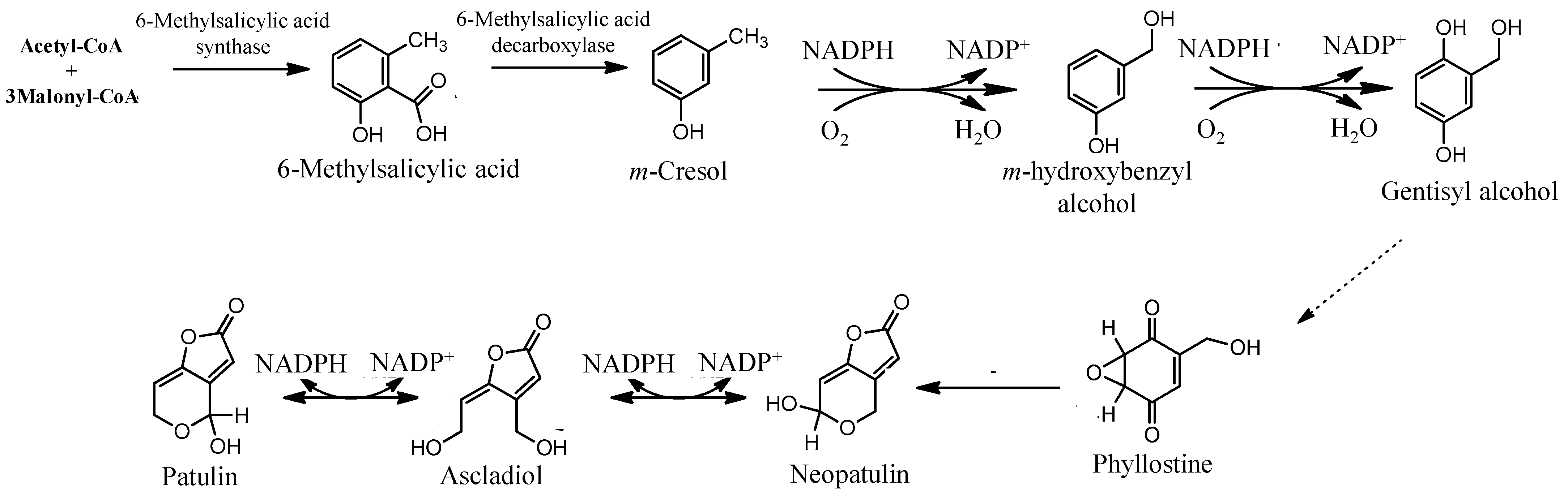 Separations 10 00149 g001