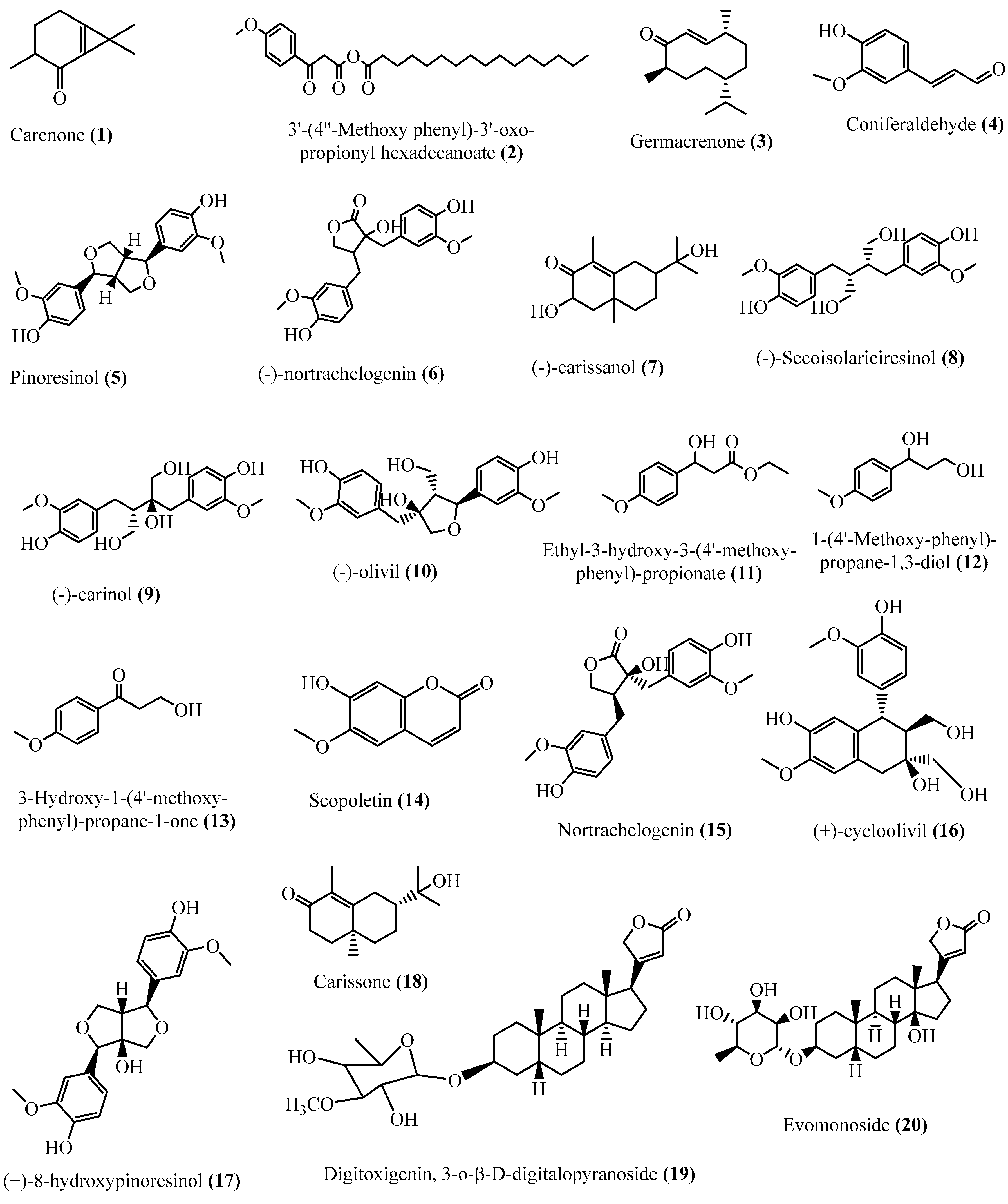 Separations 10 00158 g002