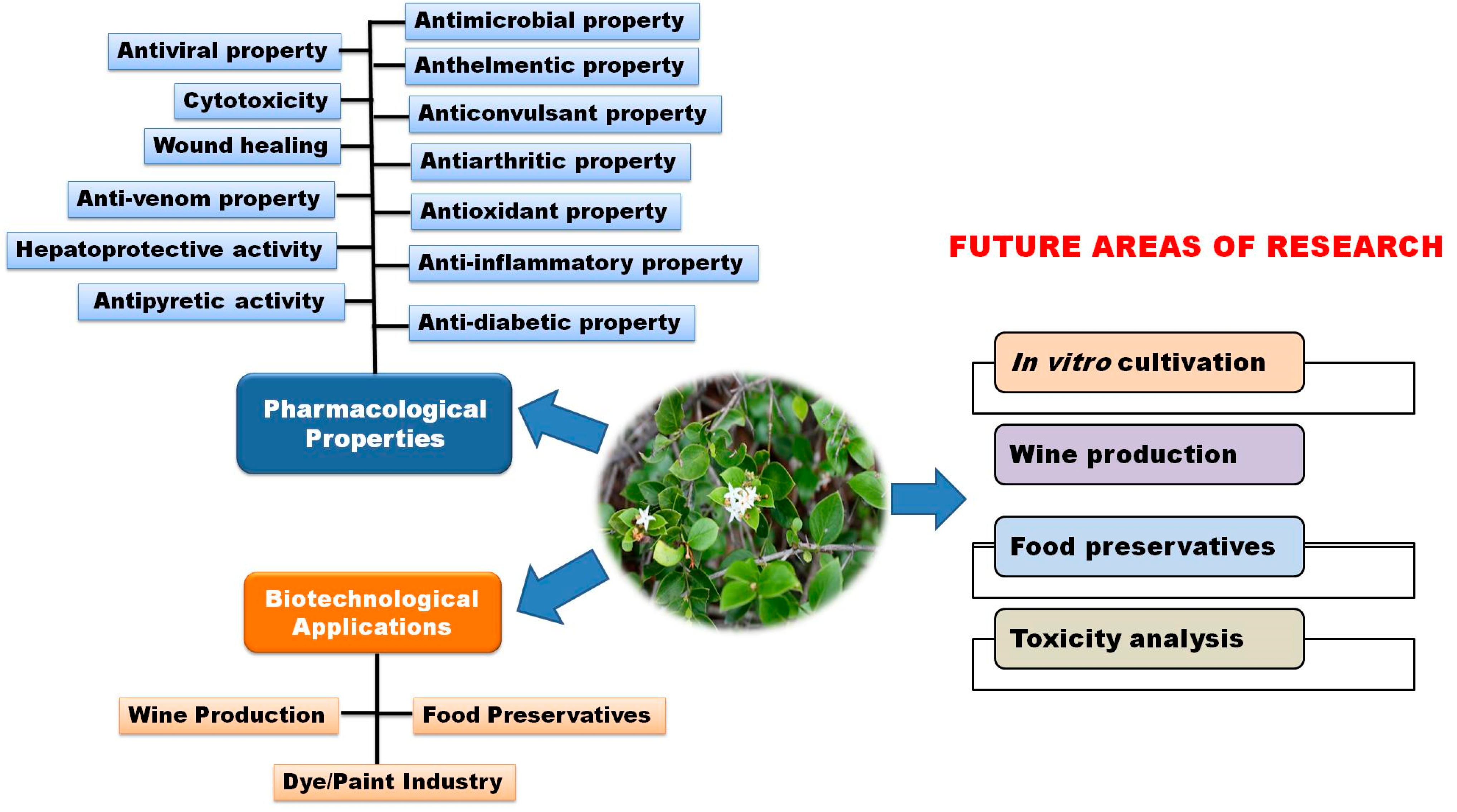 Separations 10 00158 g005