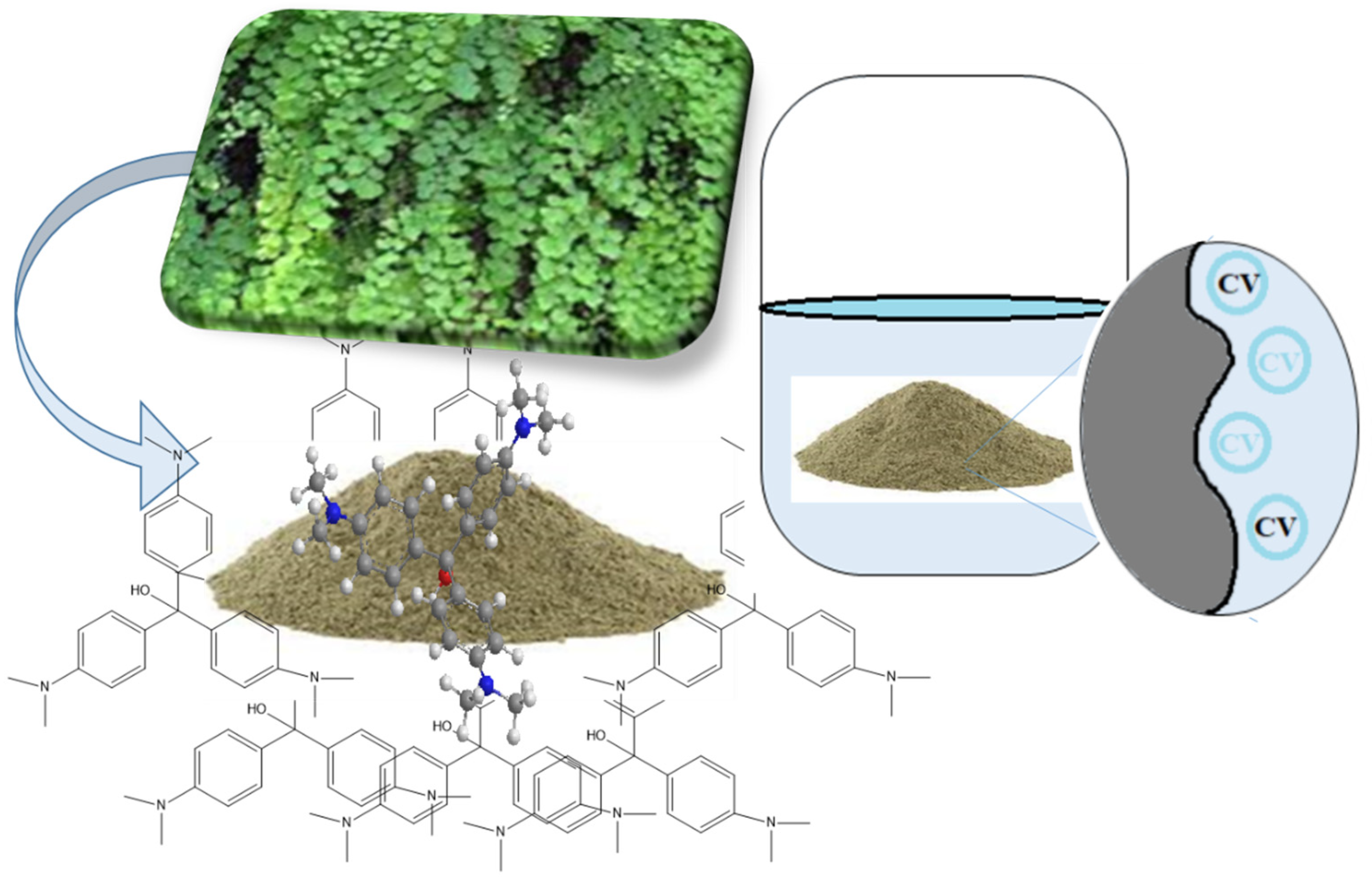Separations 10 00165 g014