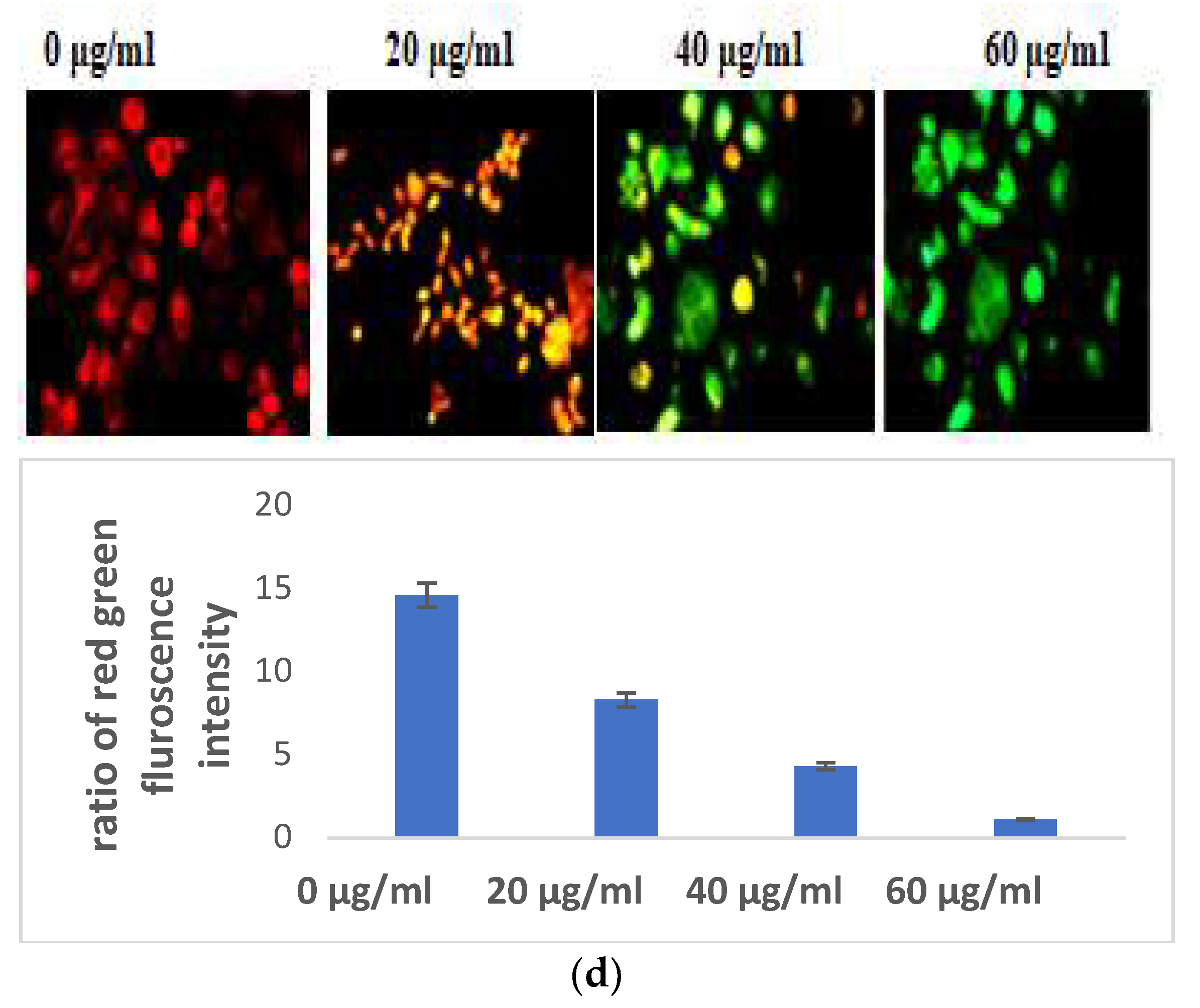 Separations 10 00166 g002b