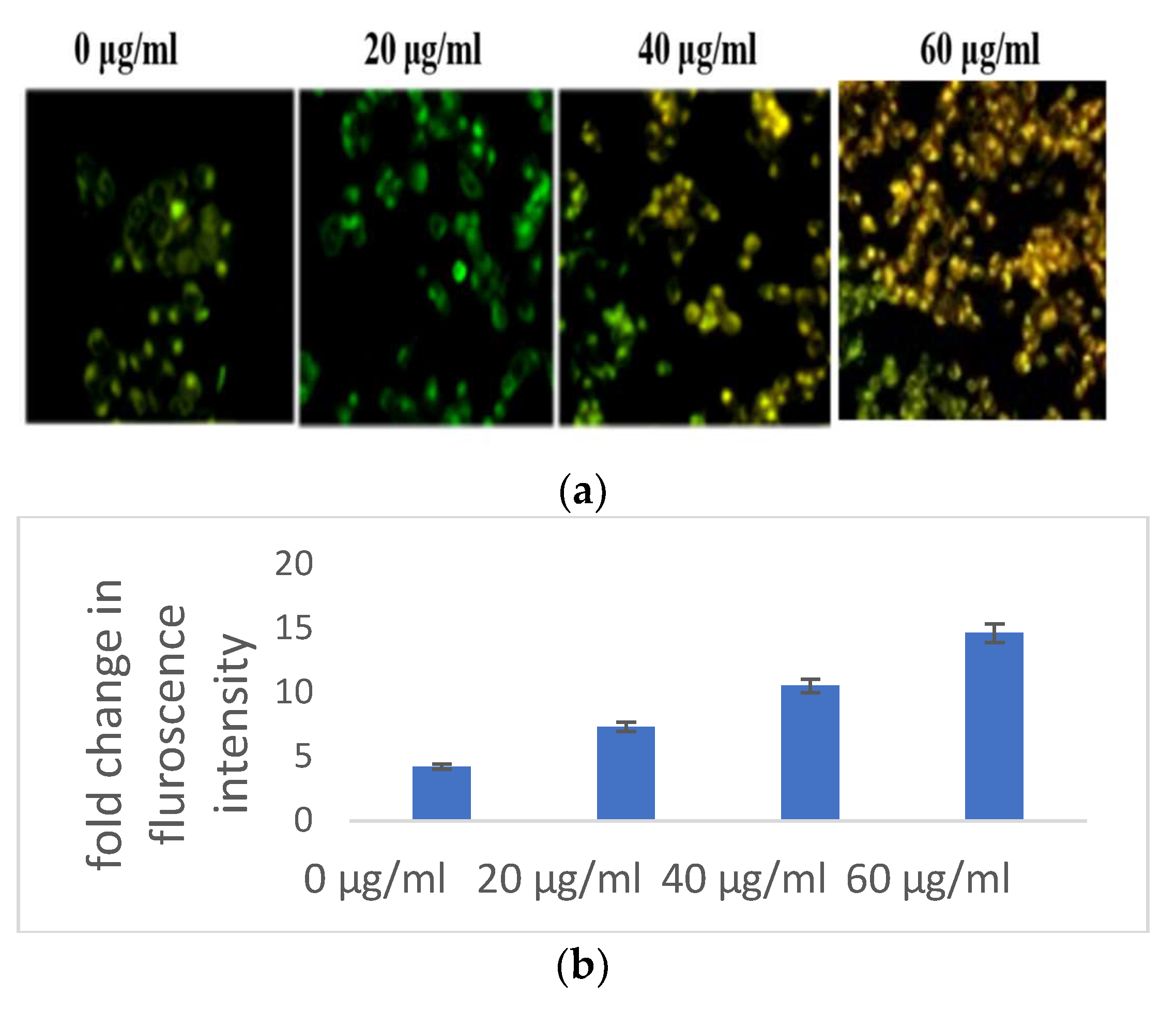 Separations 10 00166 g003a