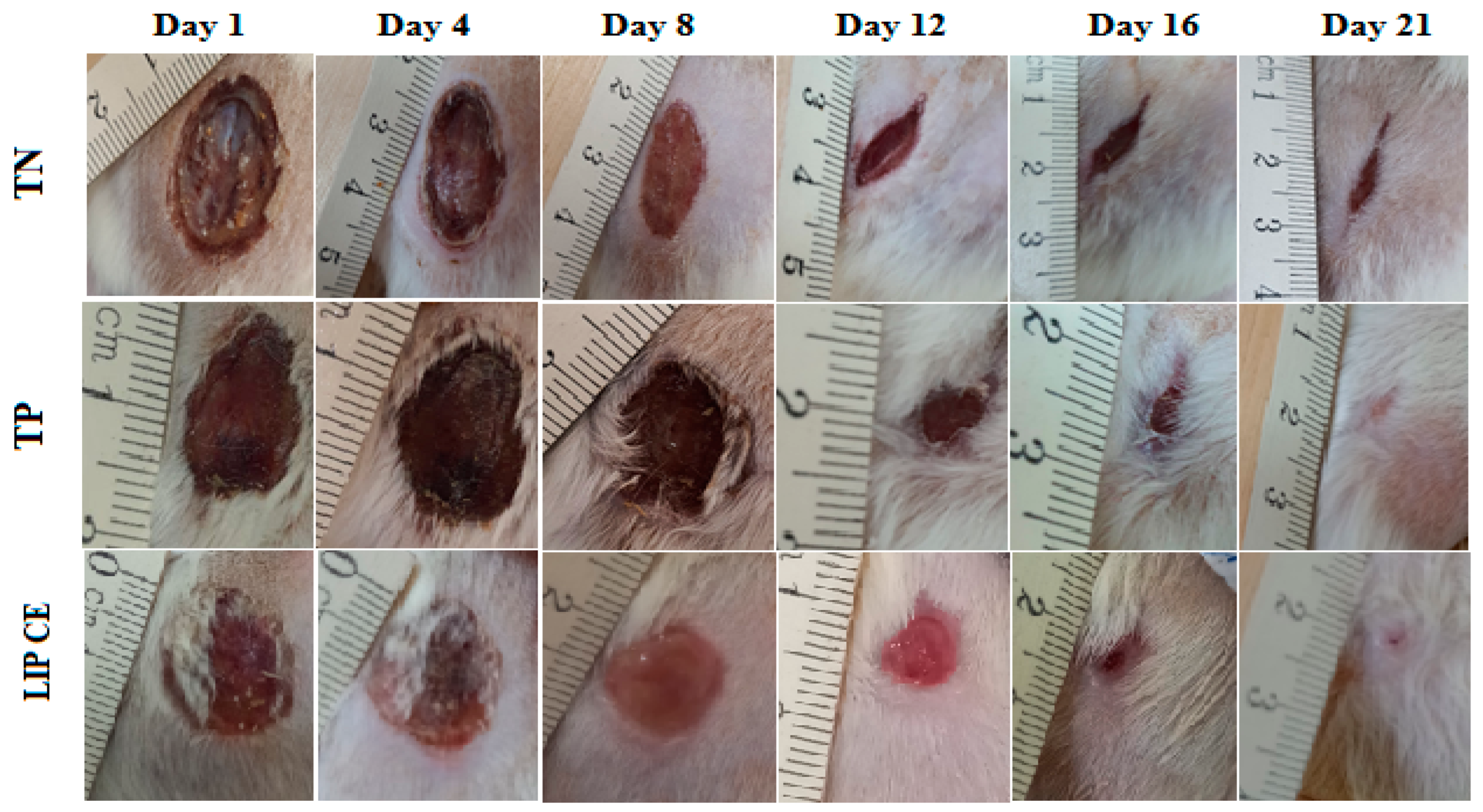 Separations 10 00172 g007