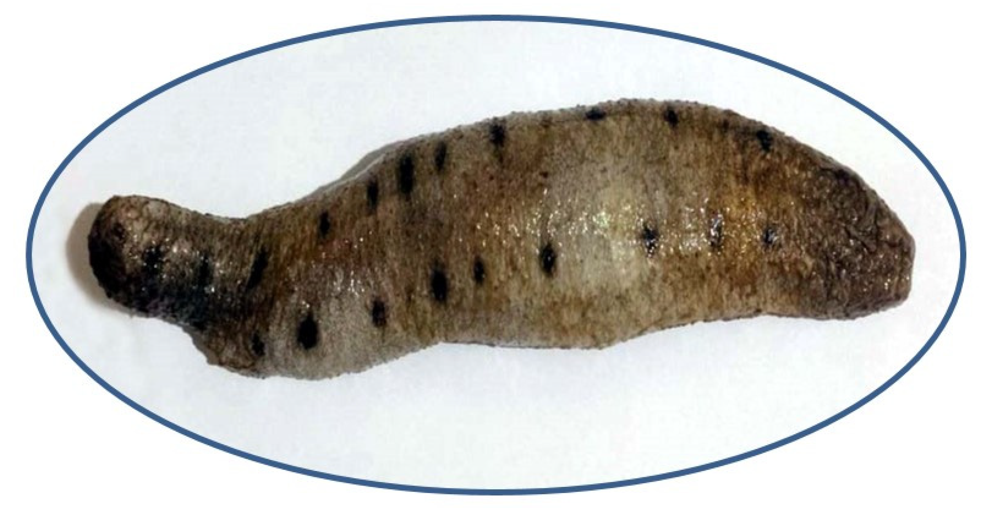 Separations 10 00173 g001 Separations 10 00173 g001