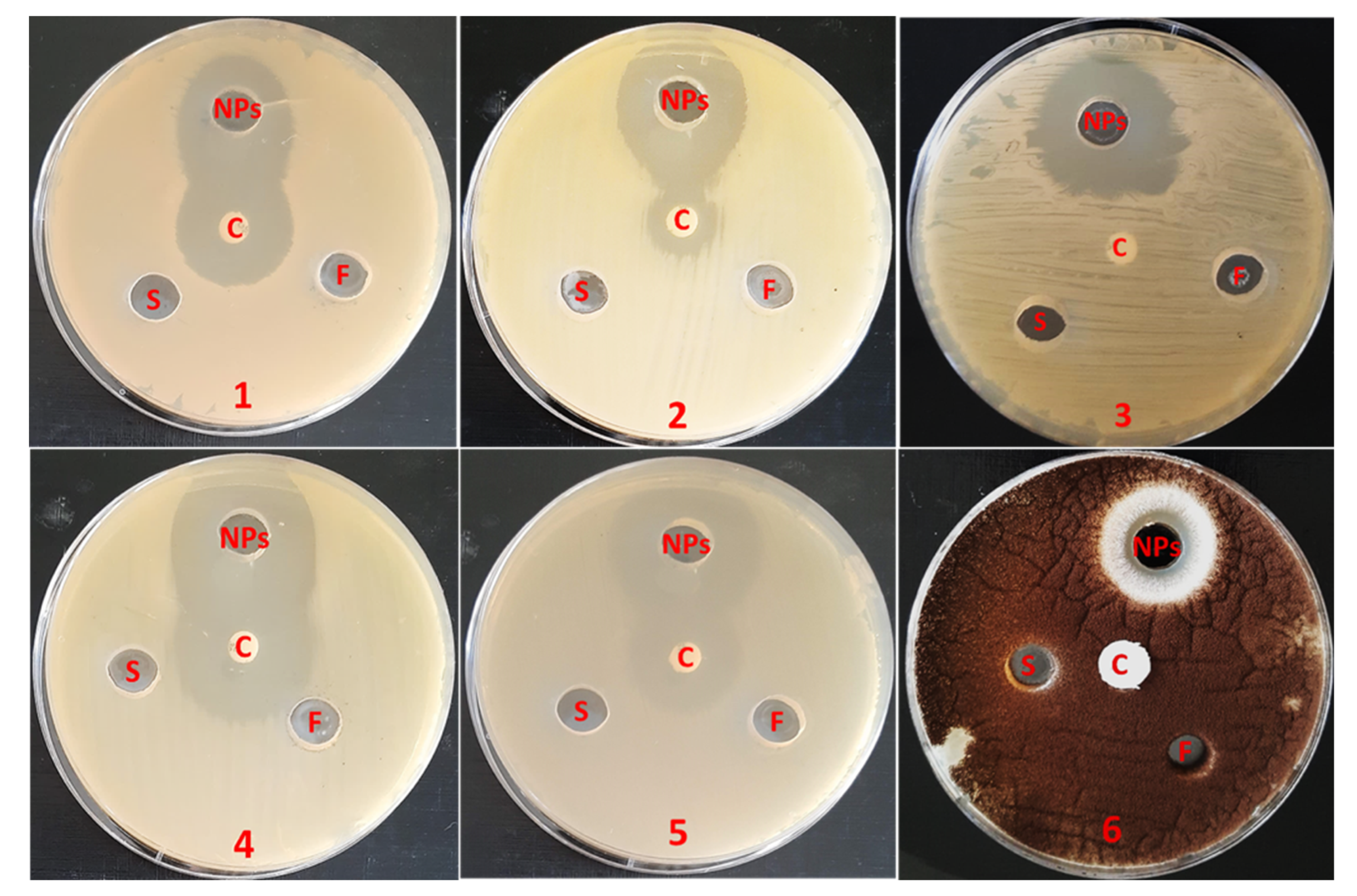 Separations 10 00173 g003 Separations 10 00173 g003