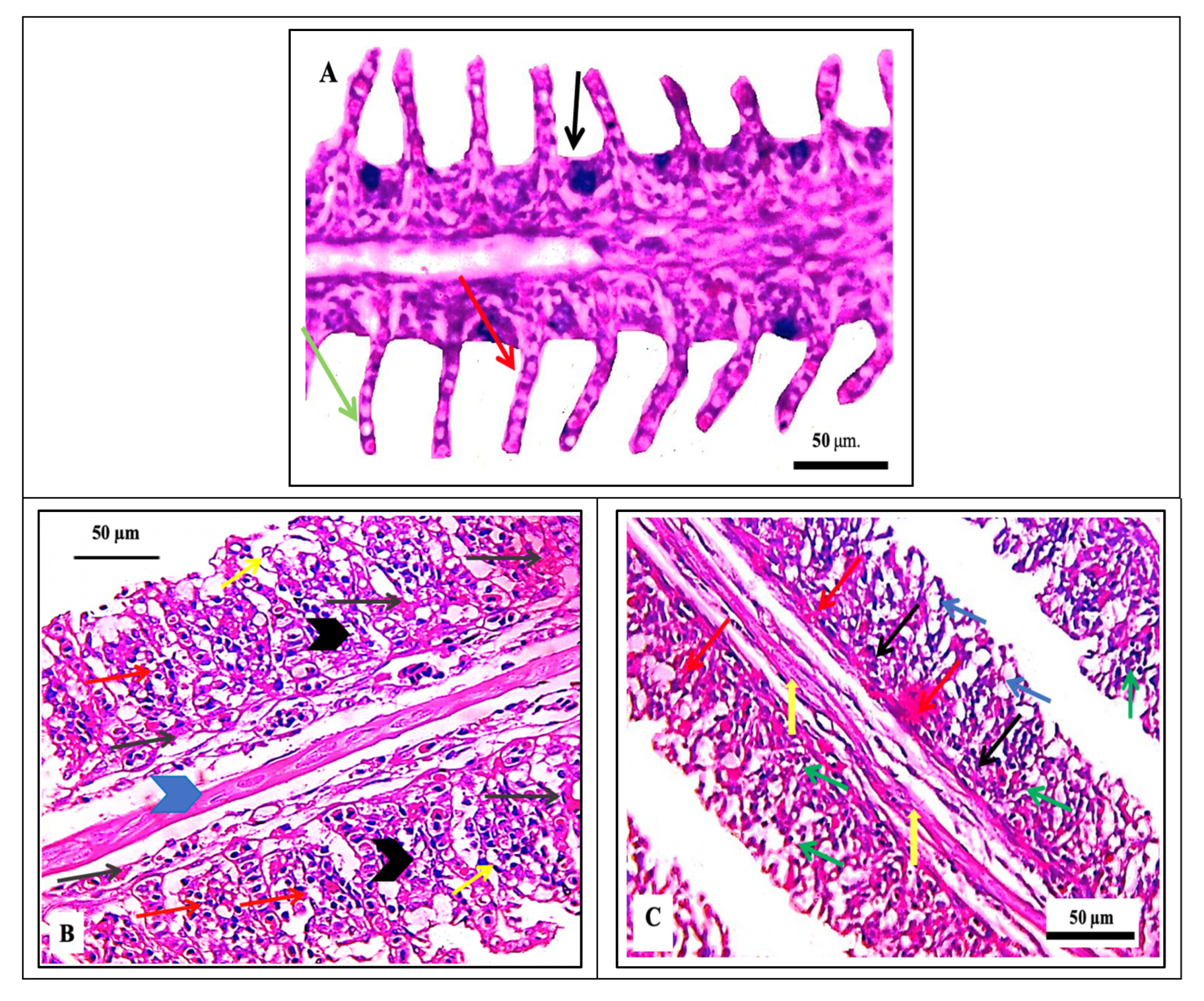 Separations 10 00173 g004a Separations 10 00173 g004a