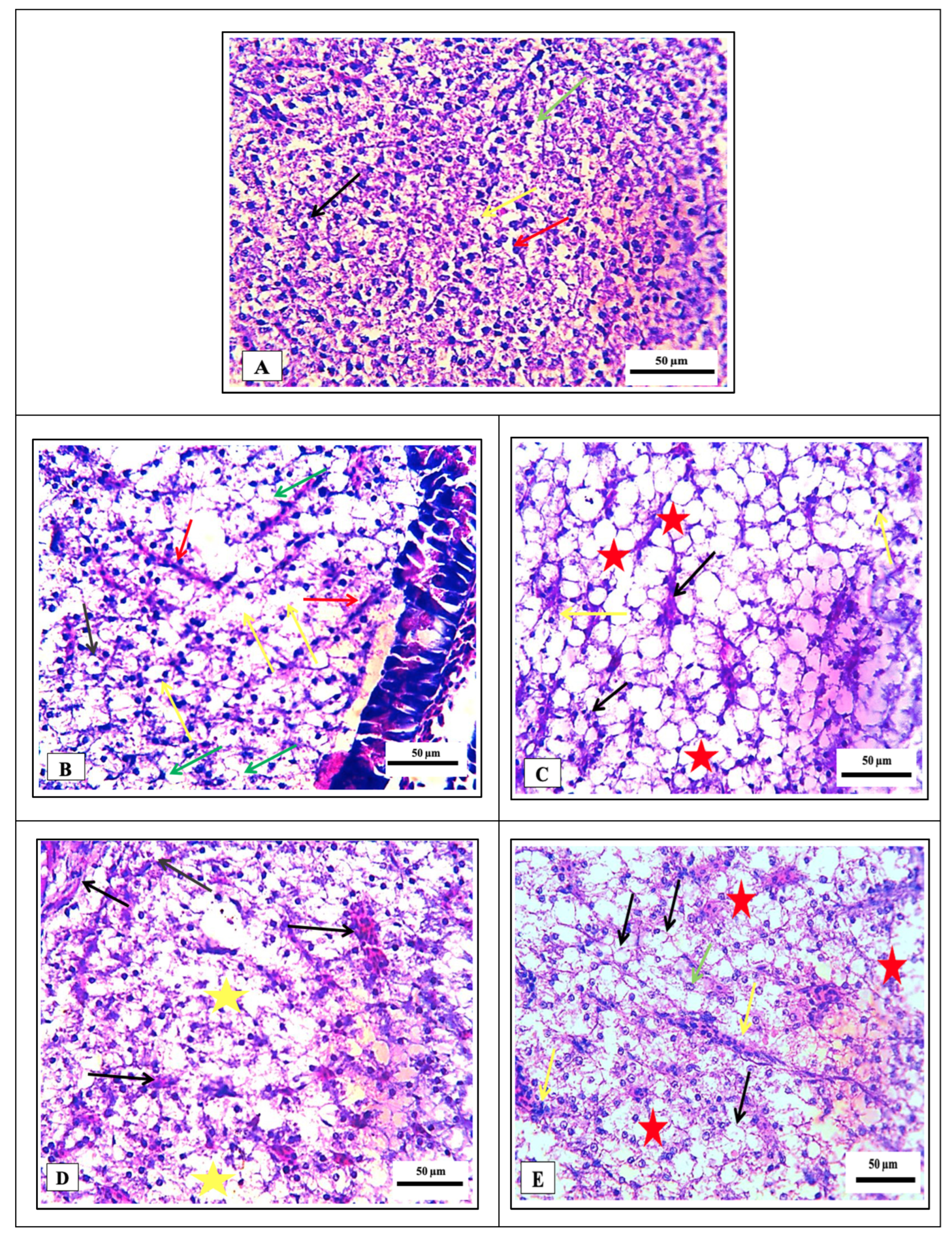Separations 10 00173 g005 Separations 10 00173 g005