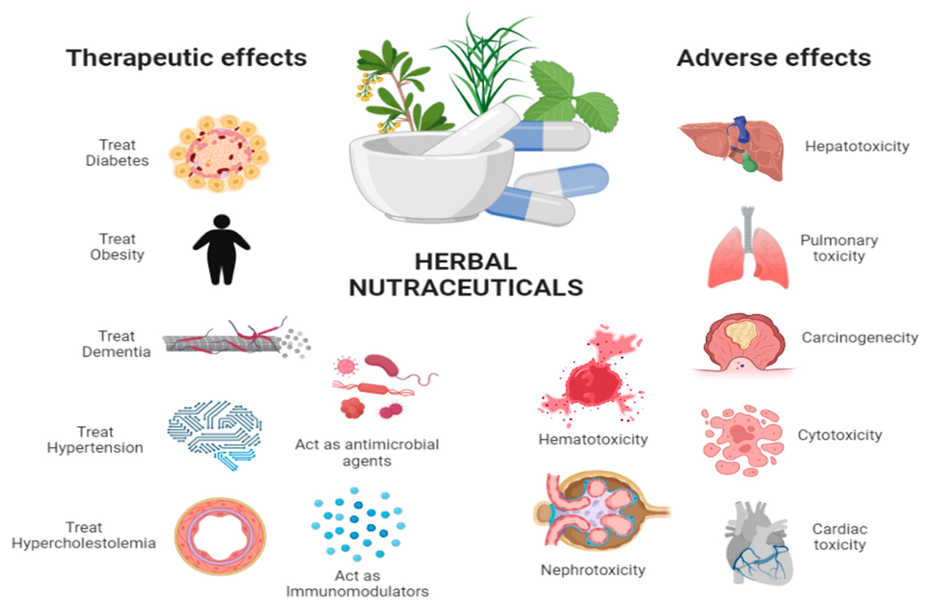 Separations 10 00177 g002