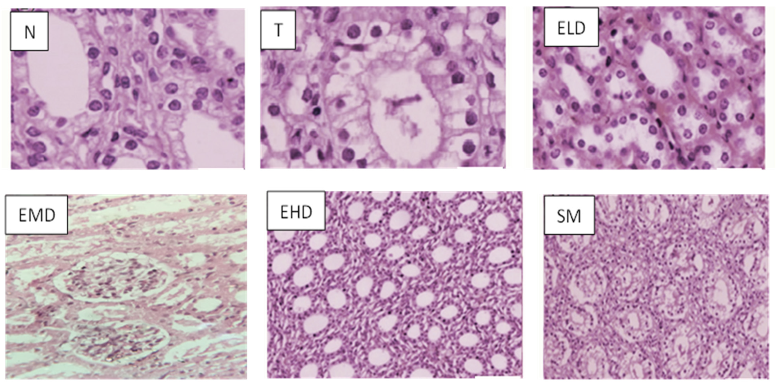 Separations 10 00182 g005a