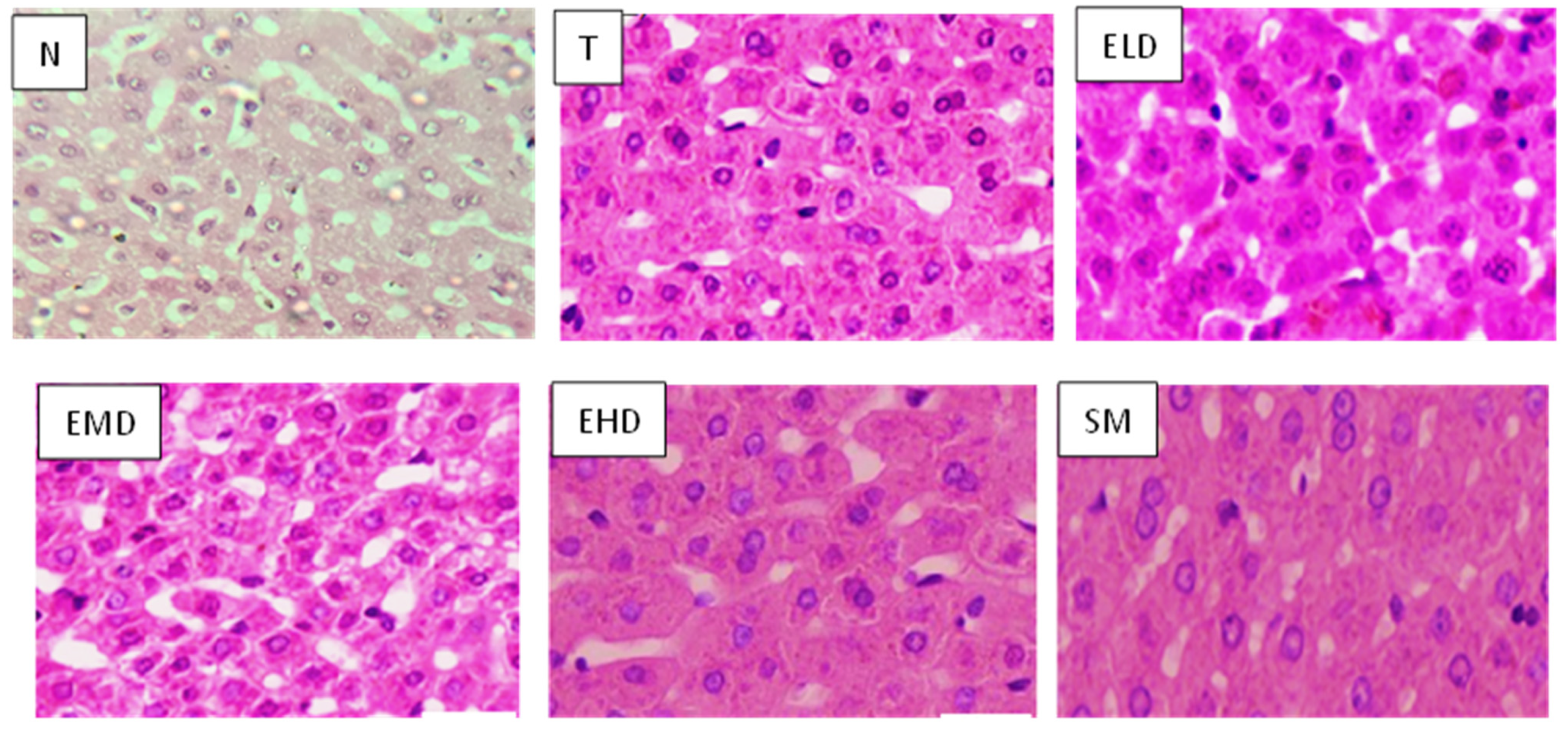 Separations 10 00182 g005b